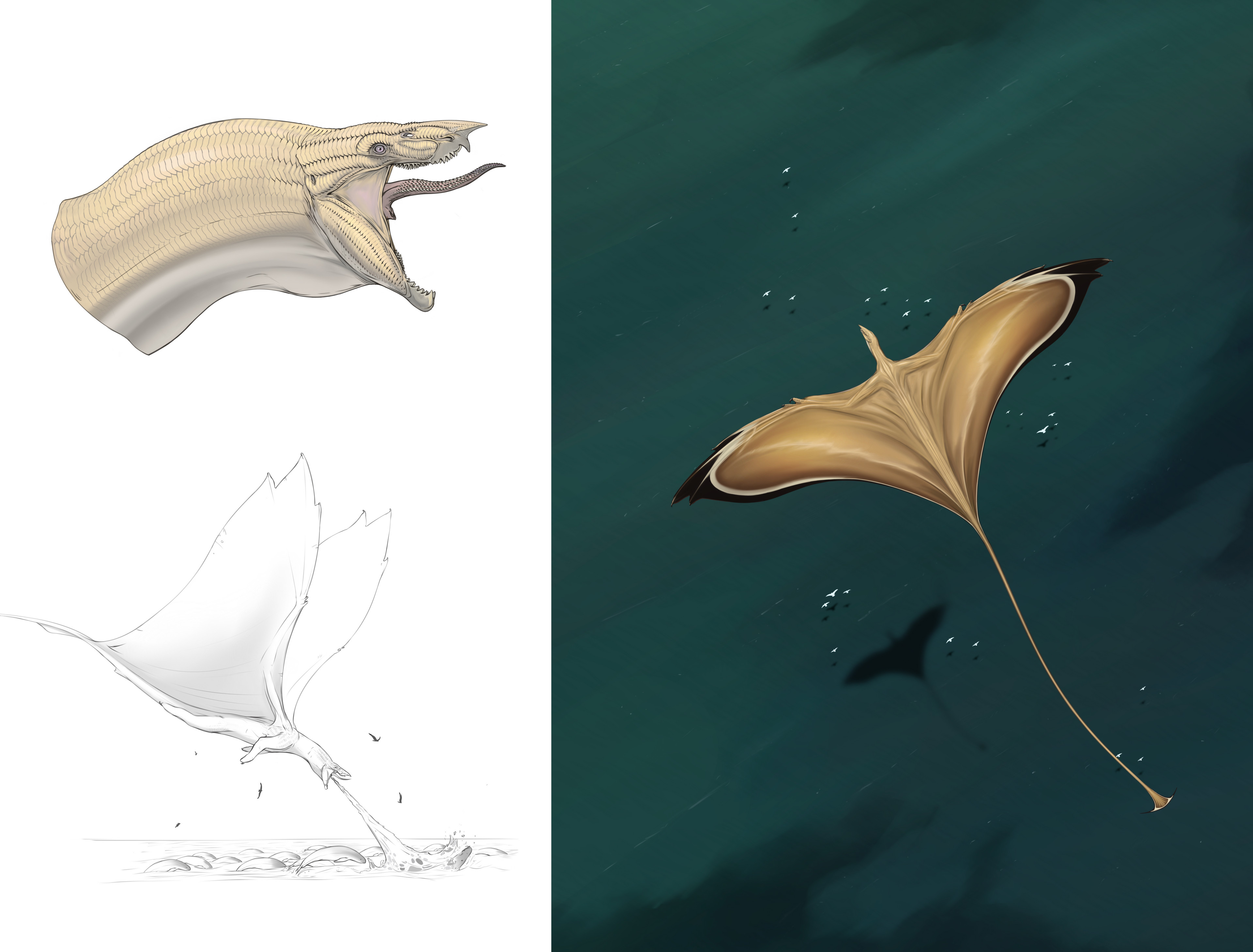 Spending most of their lives soaring above the ocean, they are well adapted to finding and snatching prey residing near (or just under) the ocean's surface. Larger adults often first incapacitate porpoises and small whales with their fiery breath. 