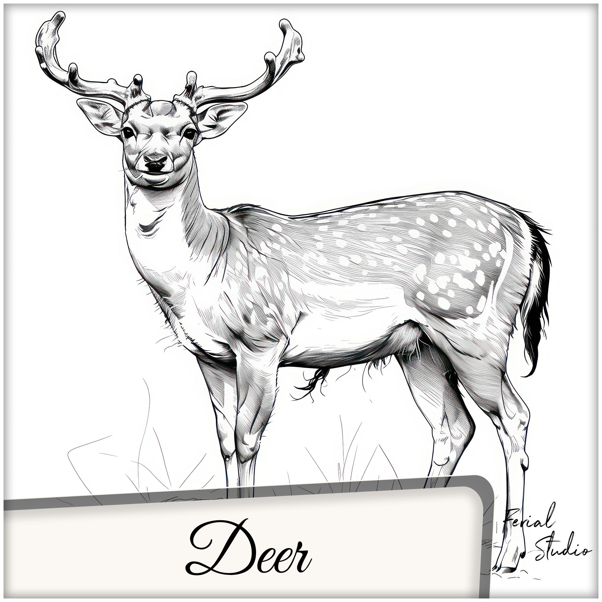 220 Deer - Sketch Reference Image Pack v.29 |4K|
https://www.artstation.com/a/50731260