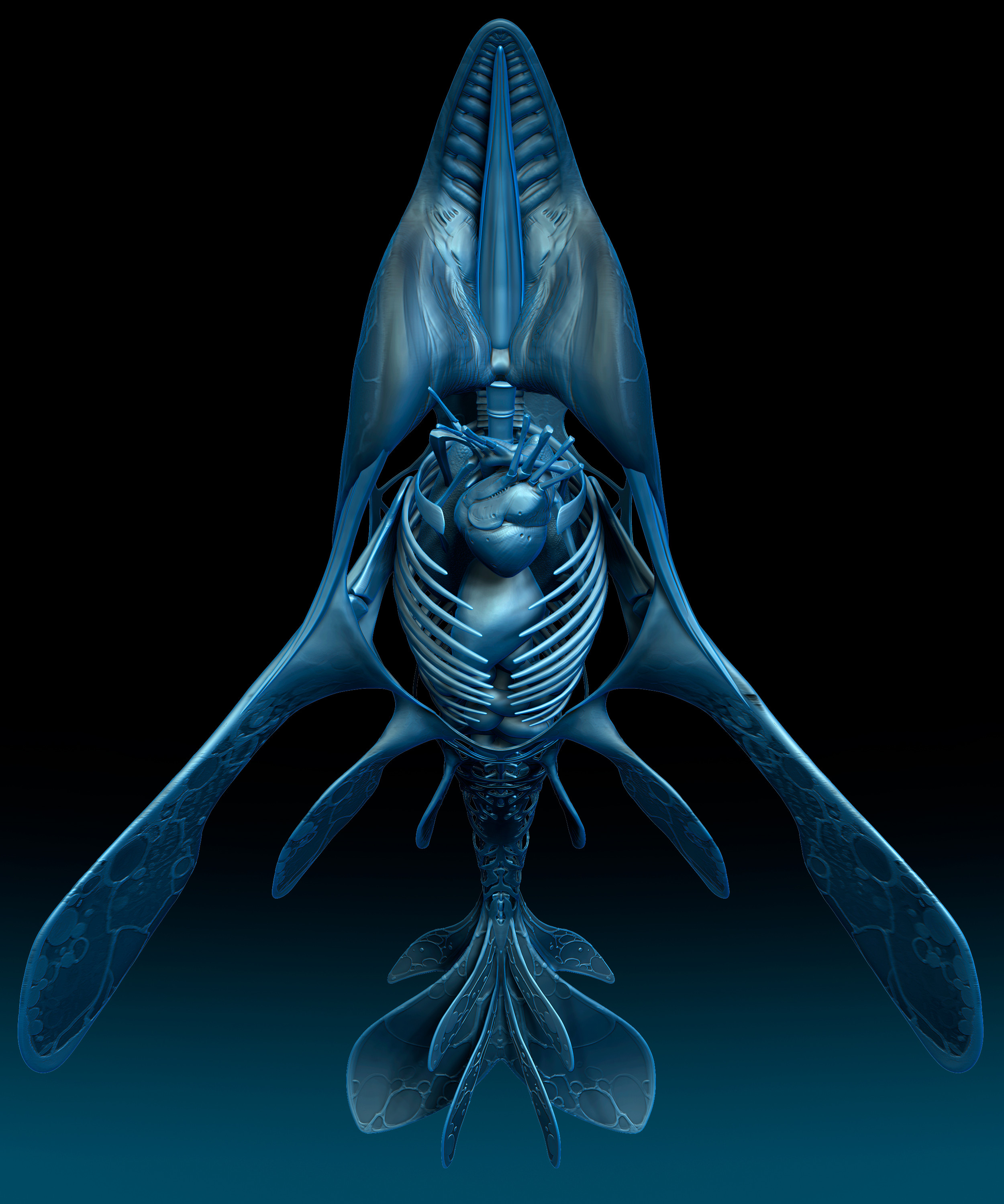 Whale viscera and skeleton