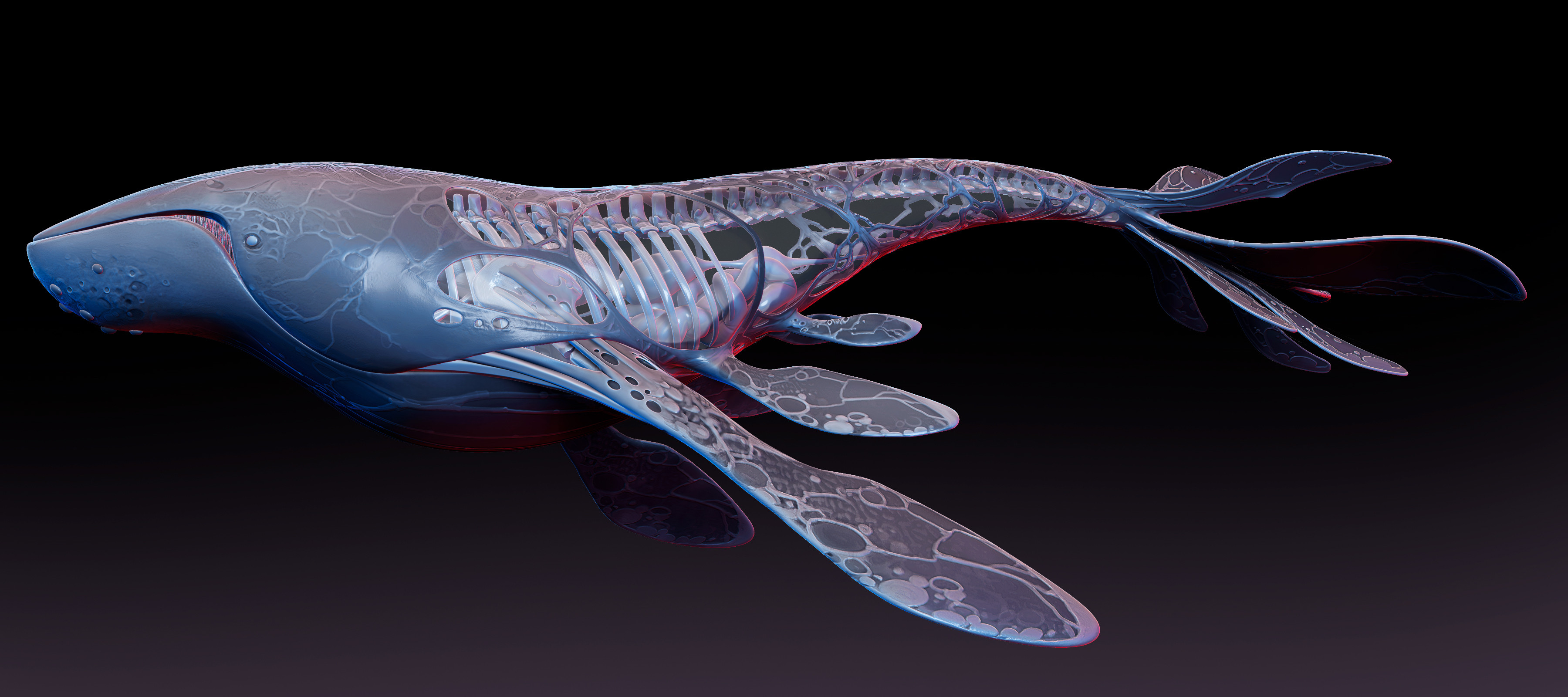 Whale 3D Sculpture