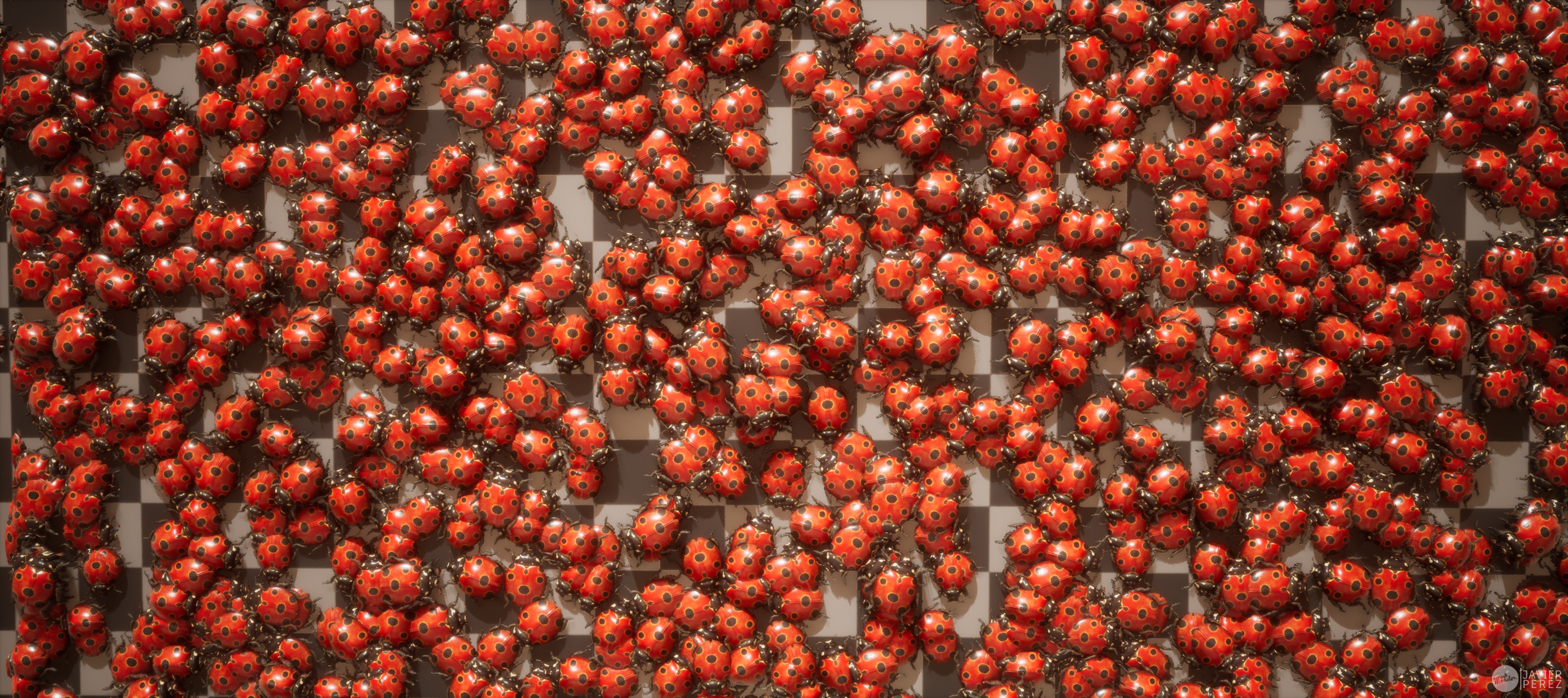 Swarm 02