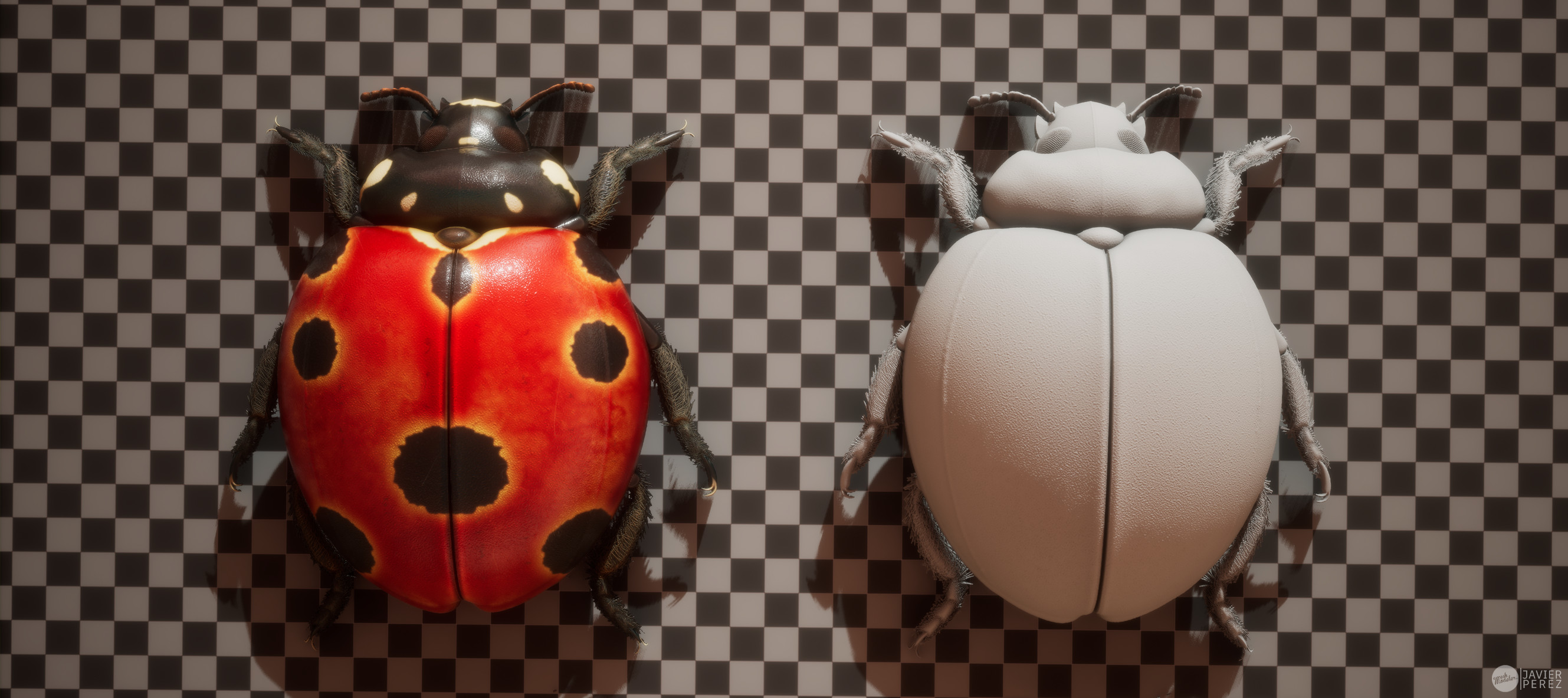 Ladybug Passes