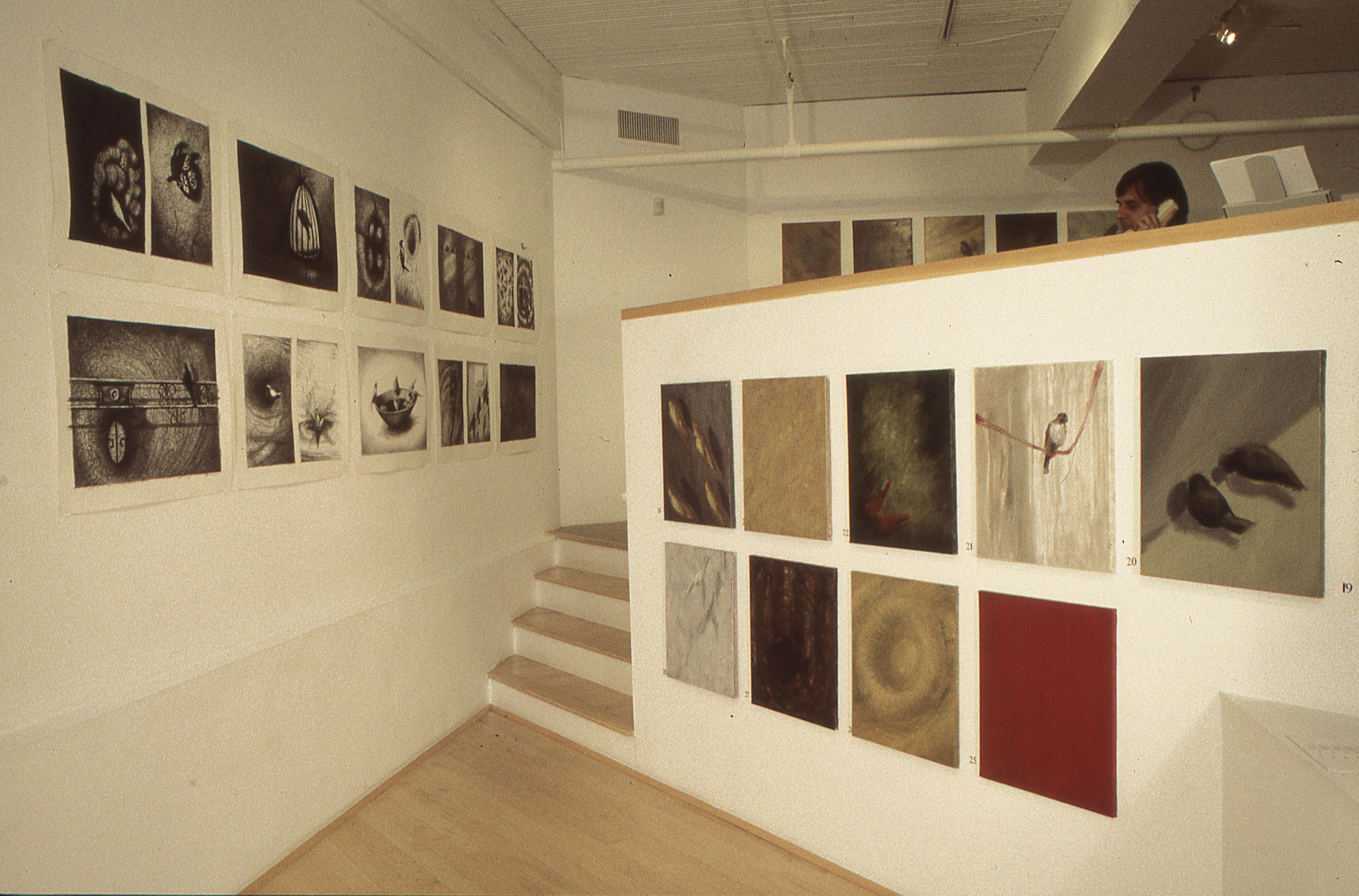 Installation of the exhibit " CRIES and WHISPERS" 