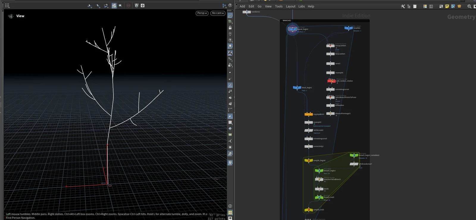 Trunk &amp; Branches