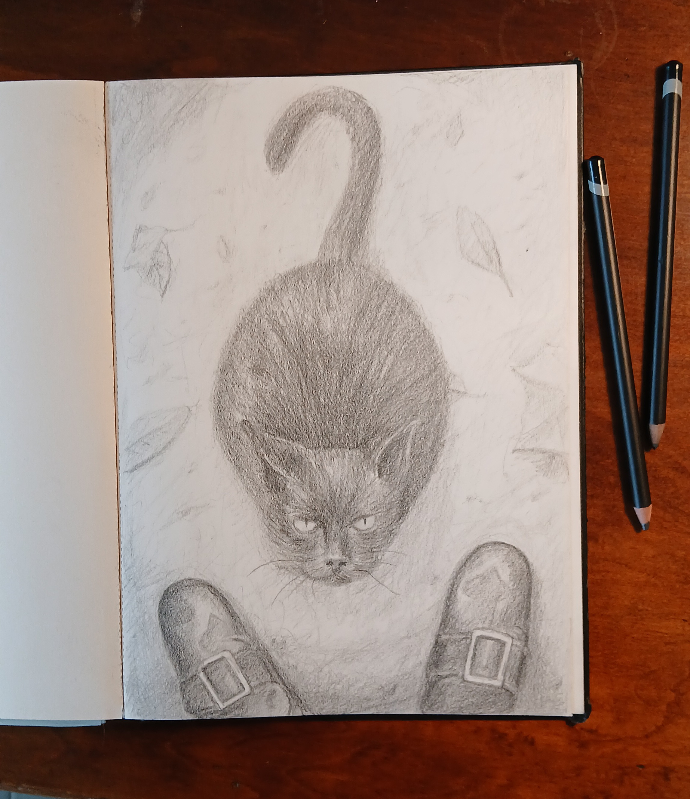 The original graphite drawing.