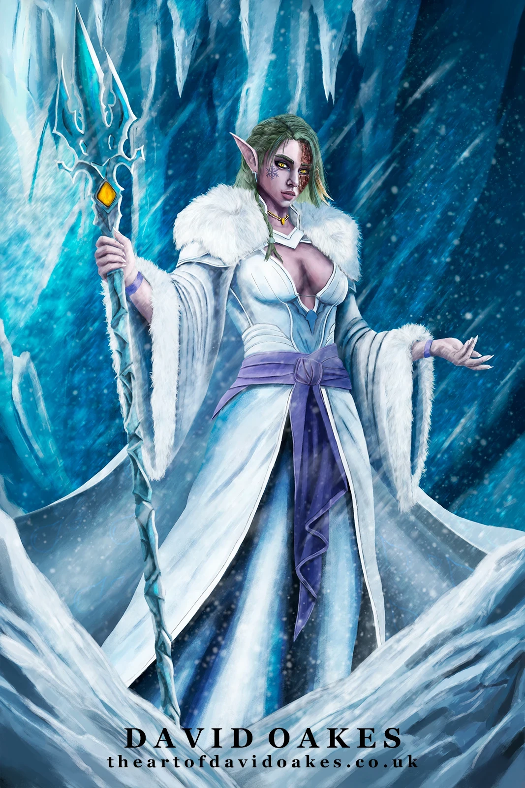 Forlorn Raider Book 8 -  Nova