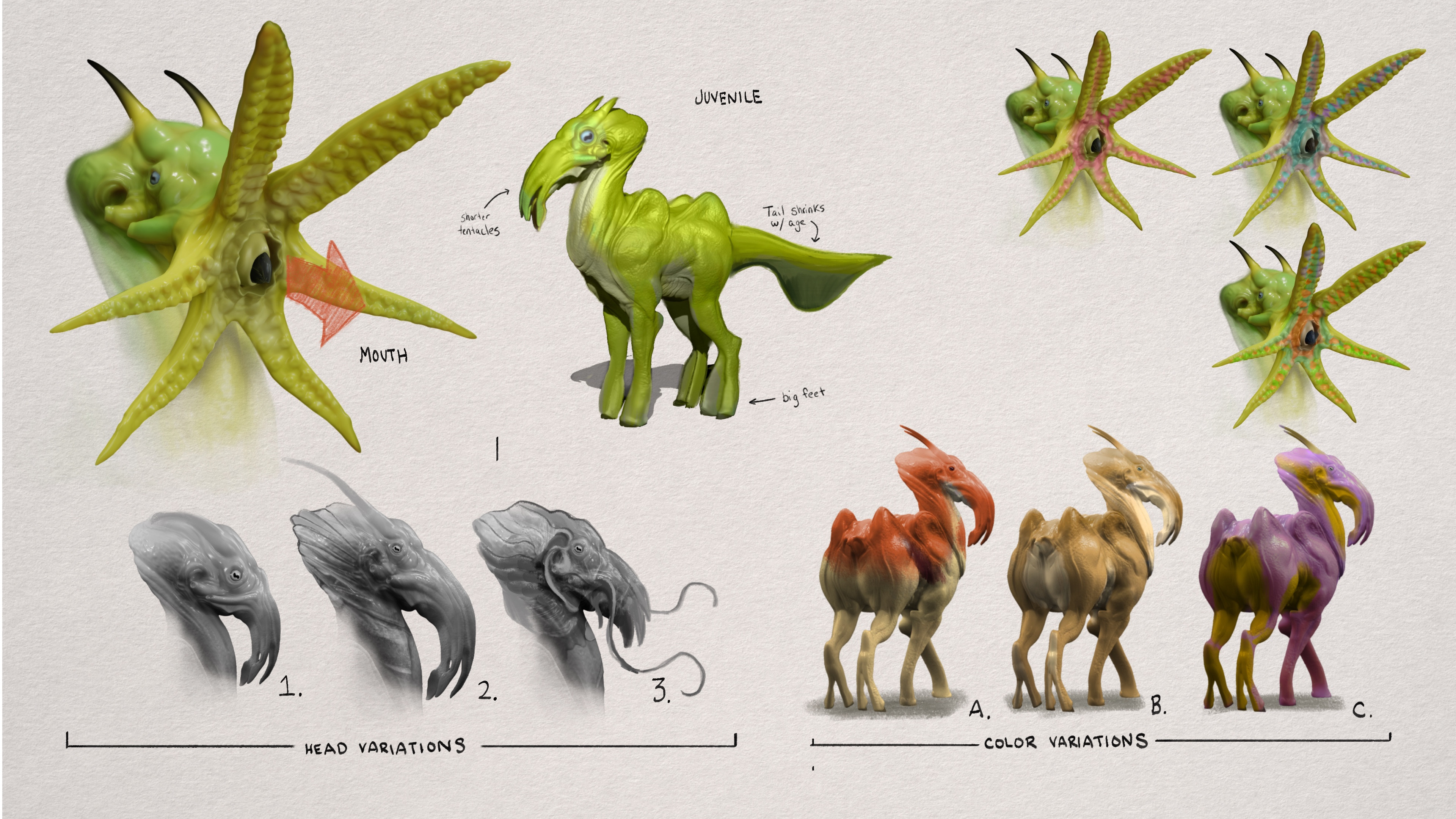 Callouts and Explorations 