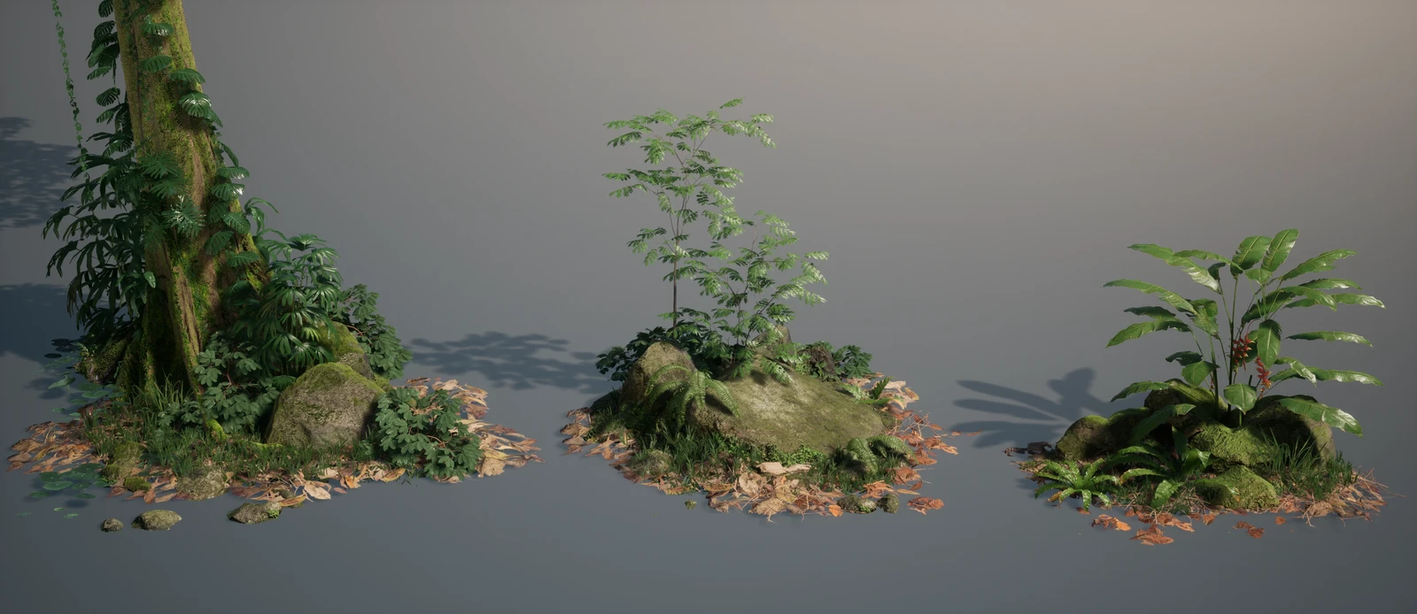 Image_Asset portfolio