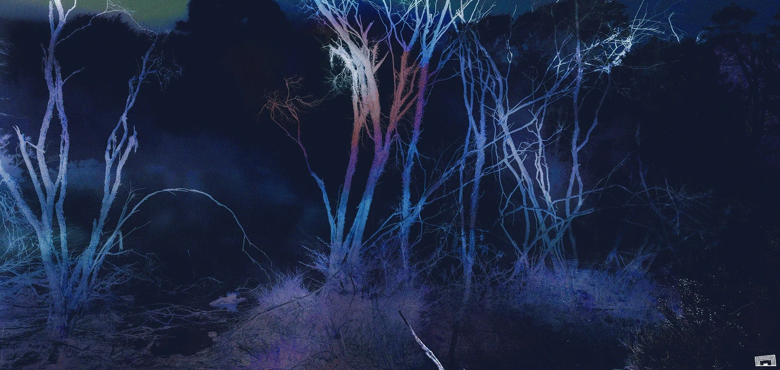 - Prismatic Trees -
