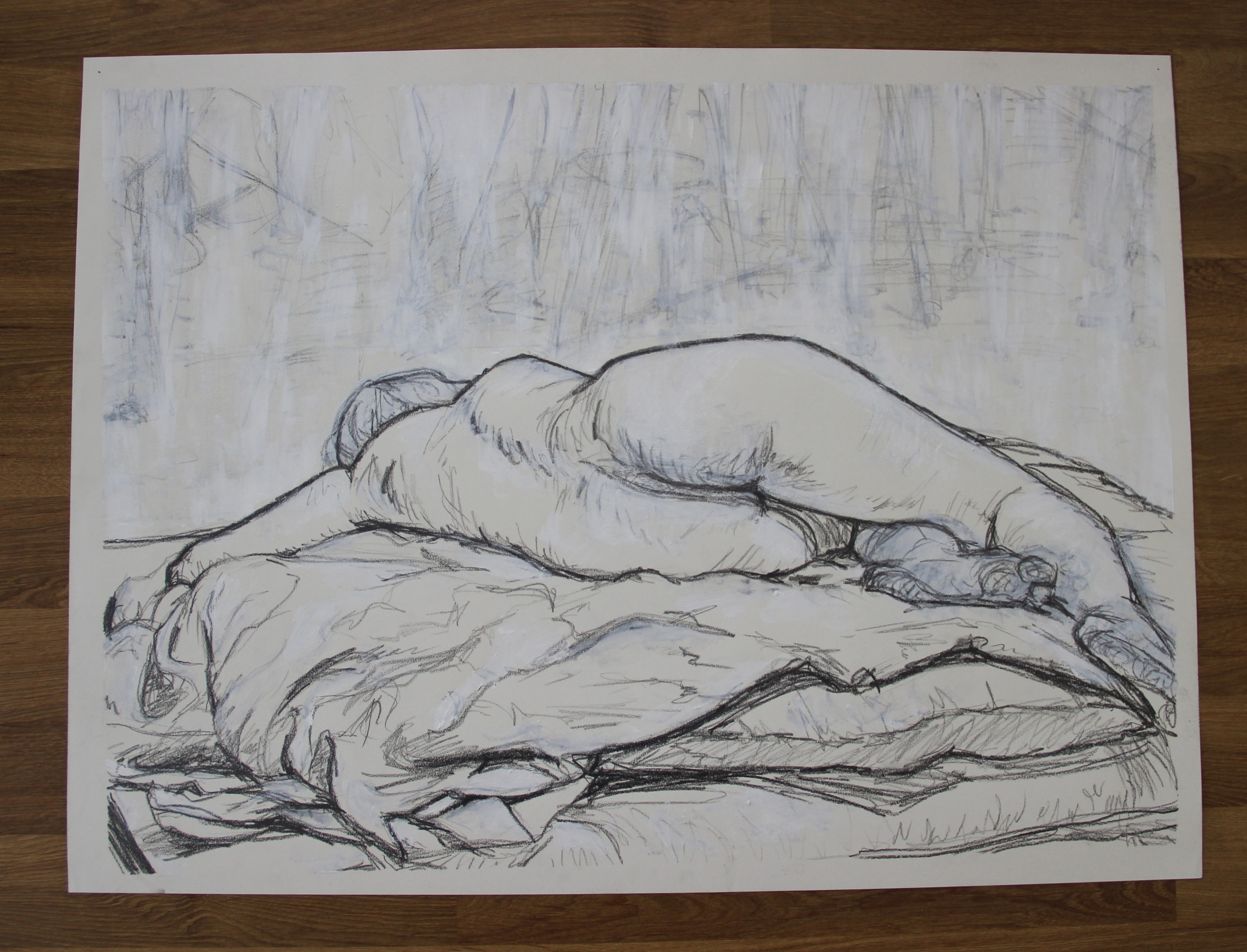 18 x 24 in, graphite and acrylic white