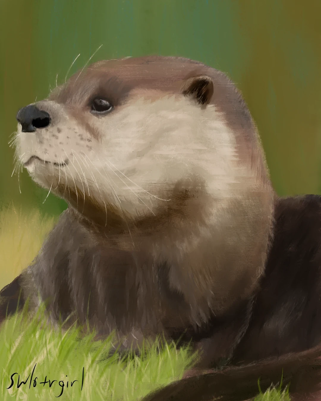 Eurasian otter portrait done in Clip Studio.