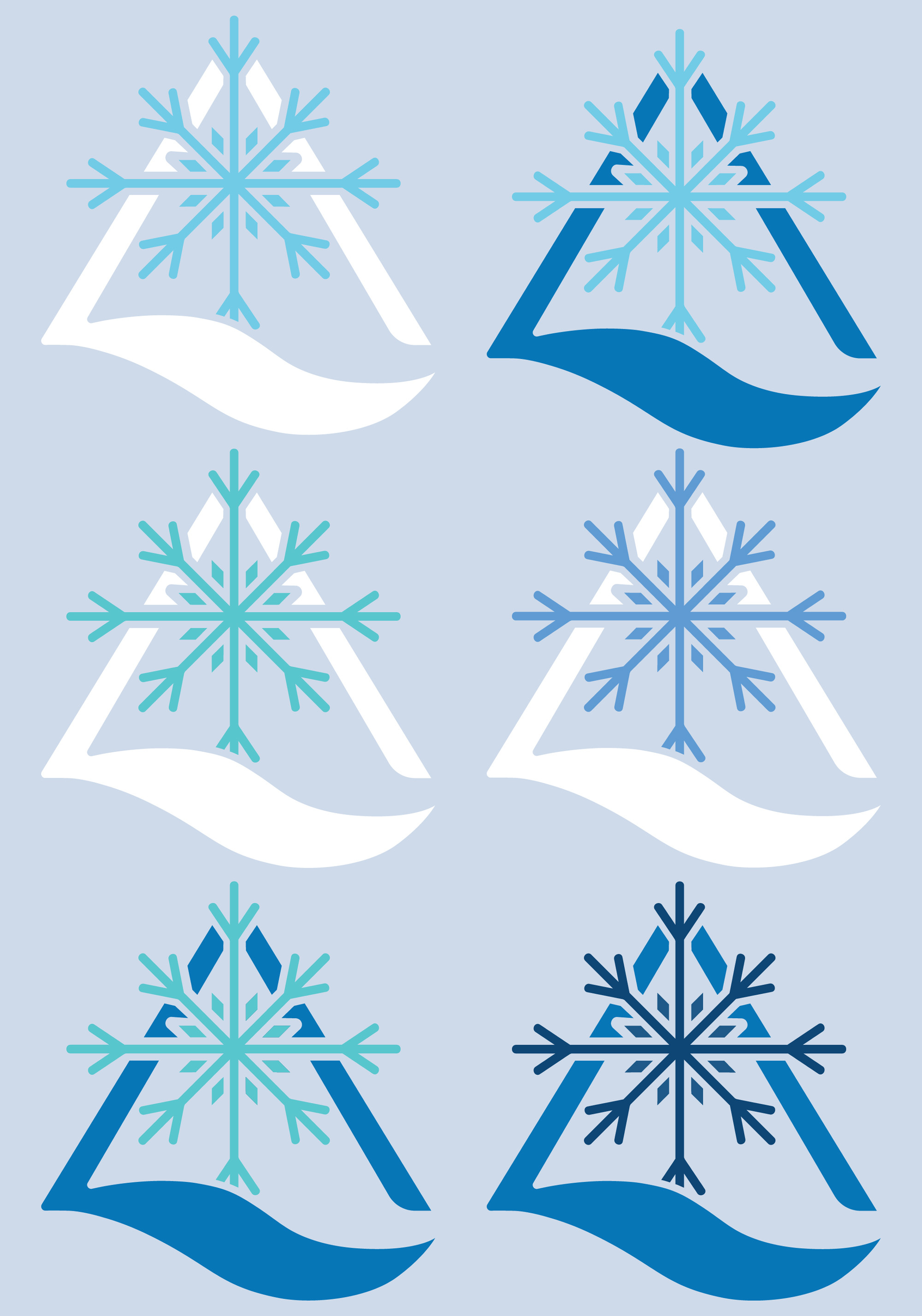 We created two color variations of the logo—one designed for a white background and another for a blue background.