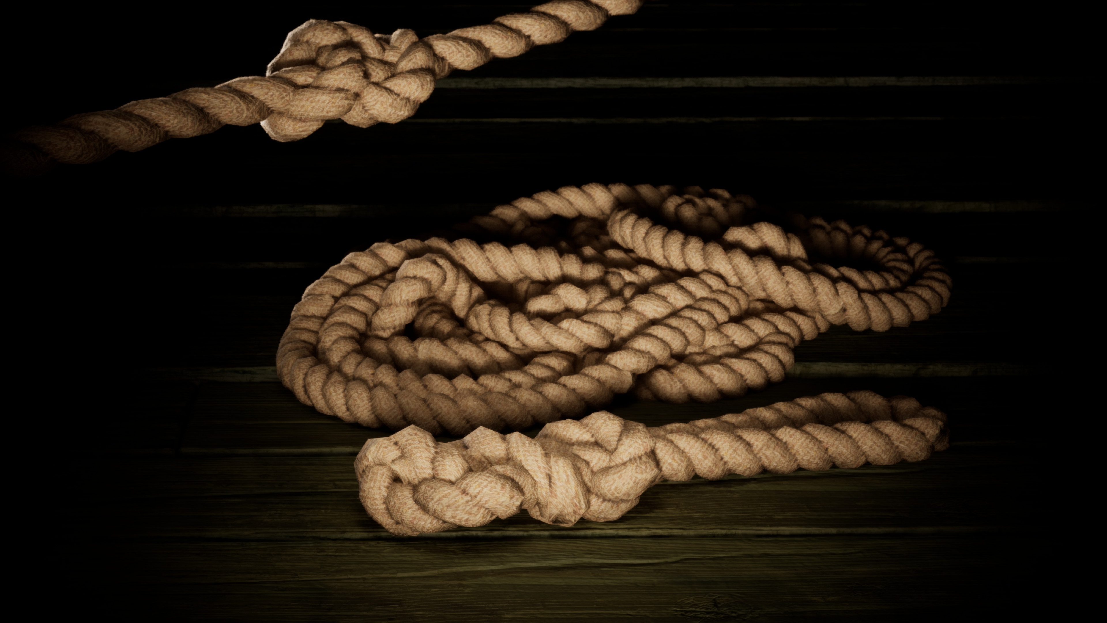 Rope made for the scene to be used with a spline that I made. Also made two knots for the rope and a pile for set dressing.