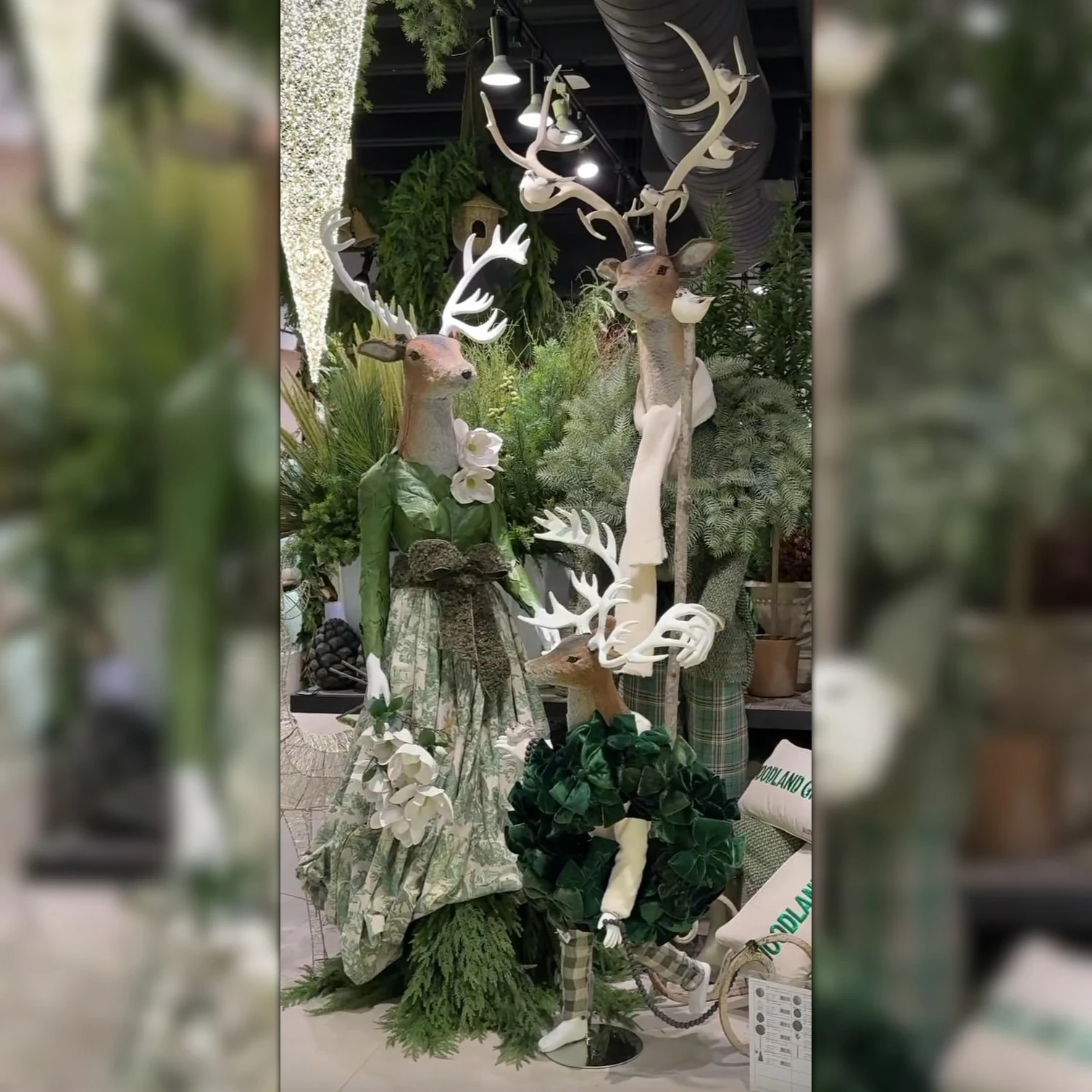 The reference image provided by the client.