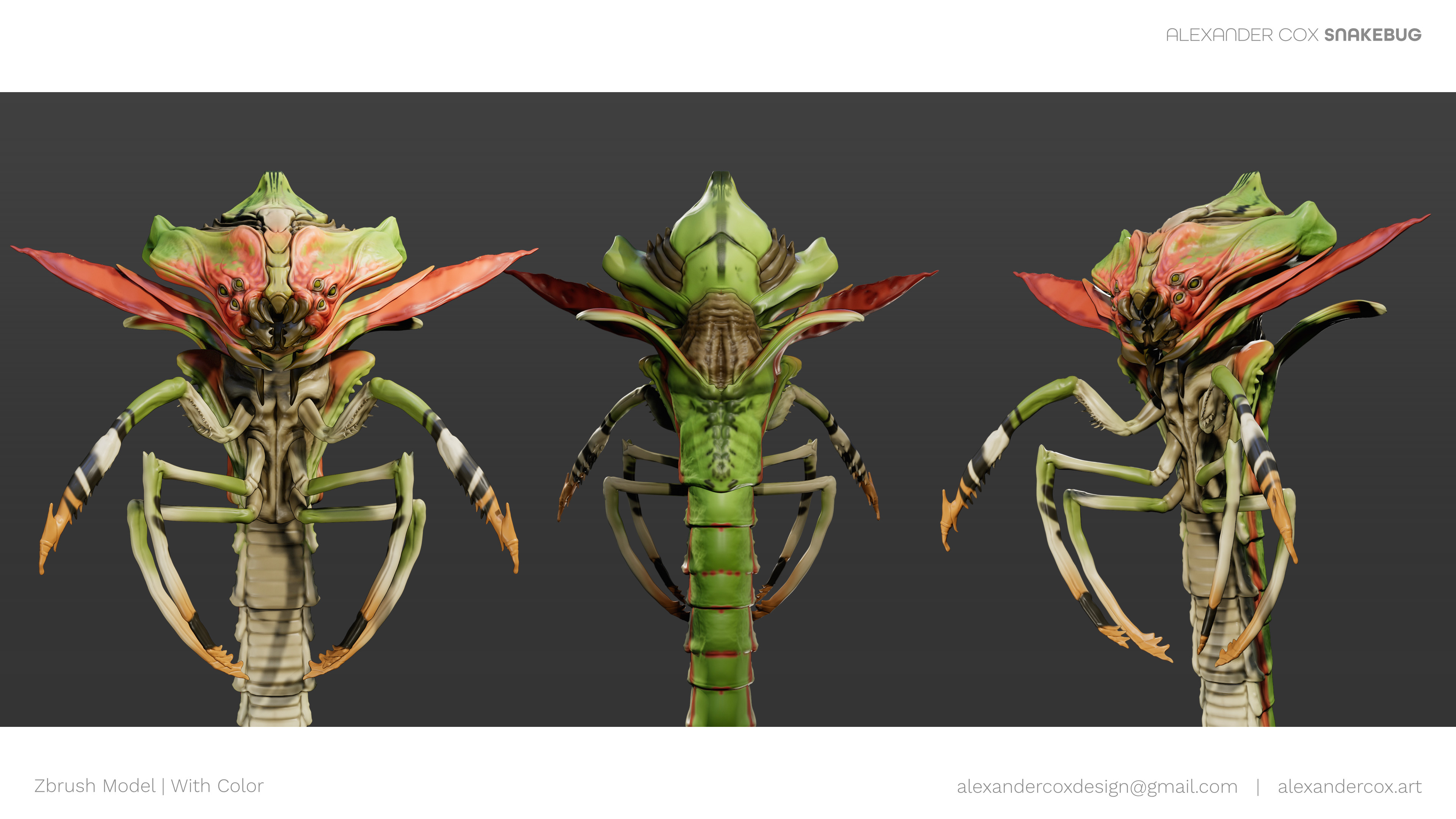 Final Model with Color