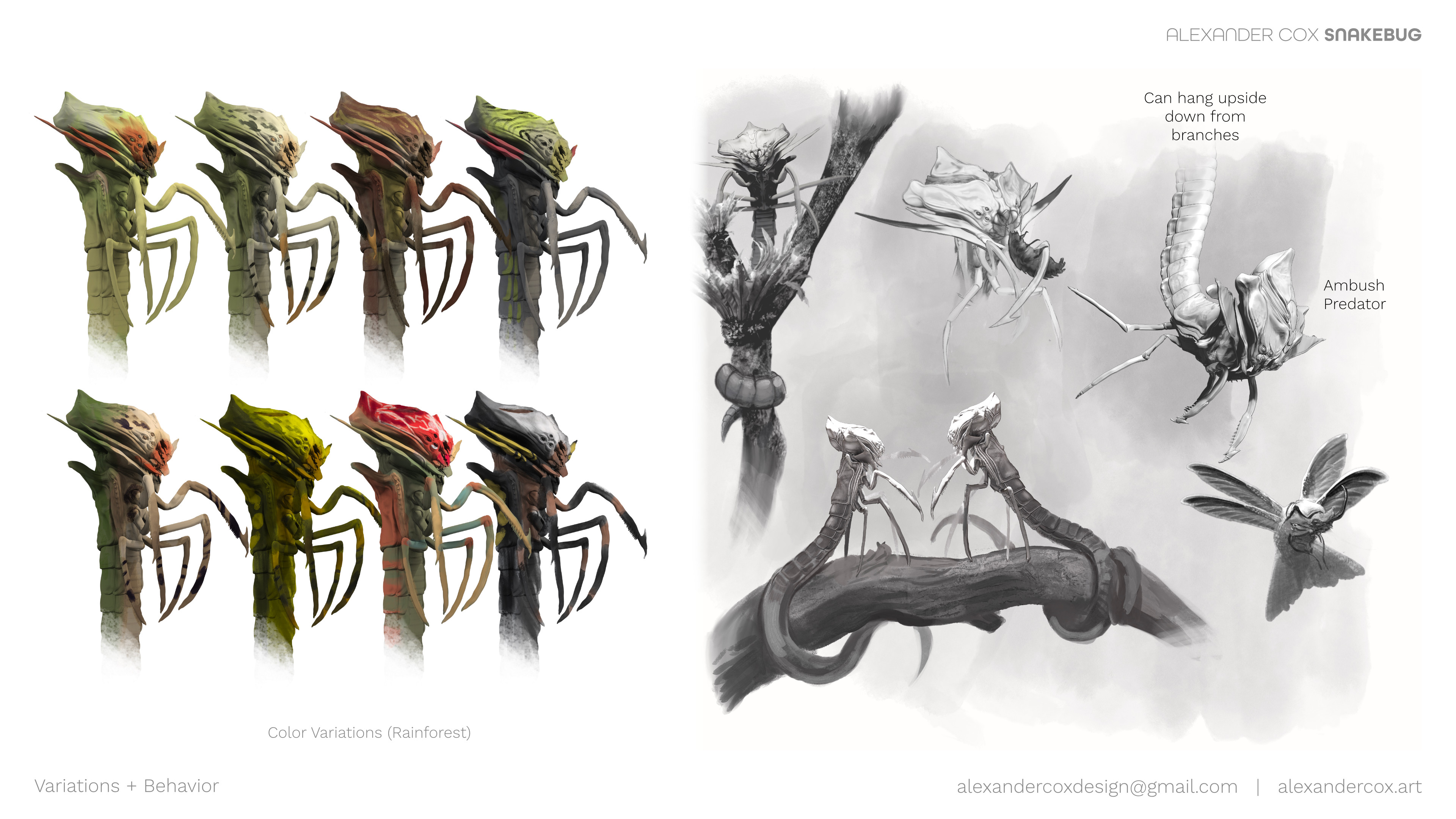 color variations + behavior exploration