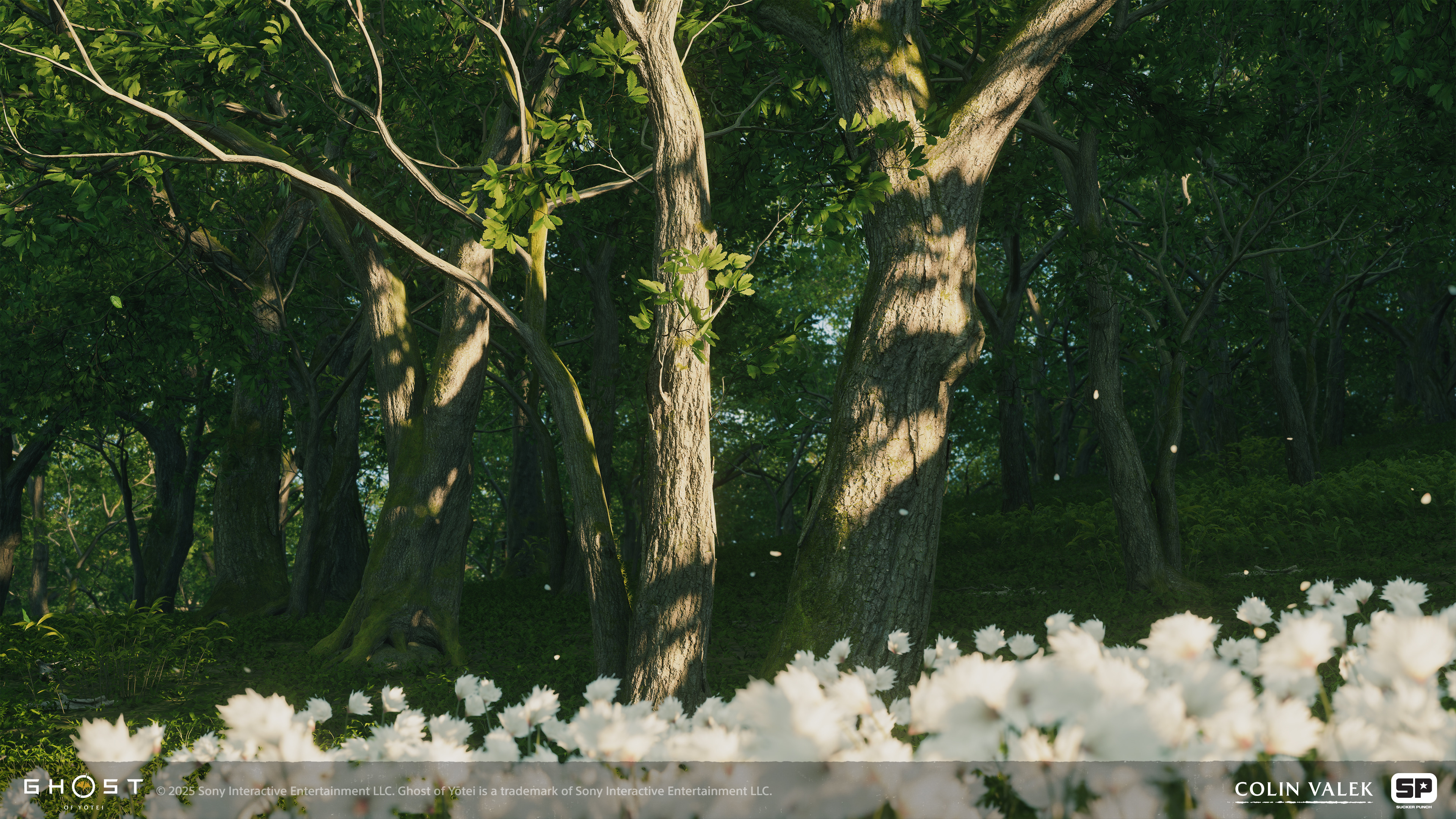 Growth expressions + tree assets made by me, foliage groundcover made by Joeanna Steuber