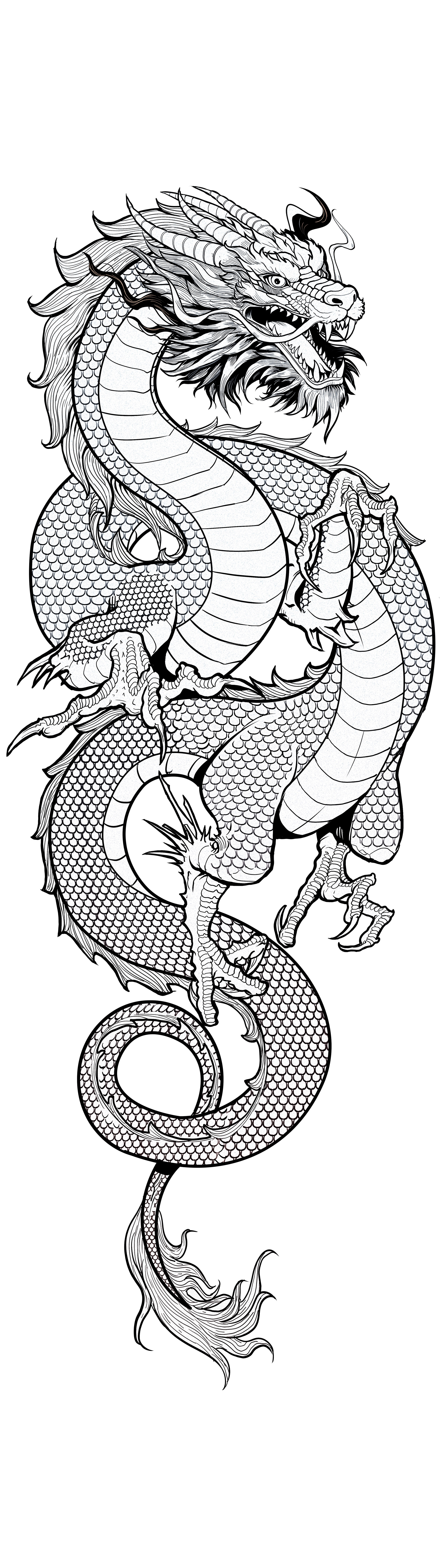 Line art AW03 lenticular