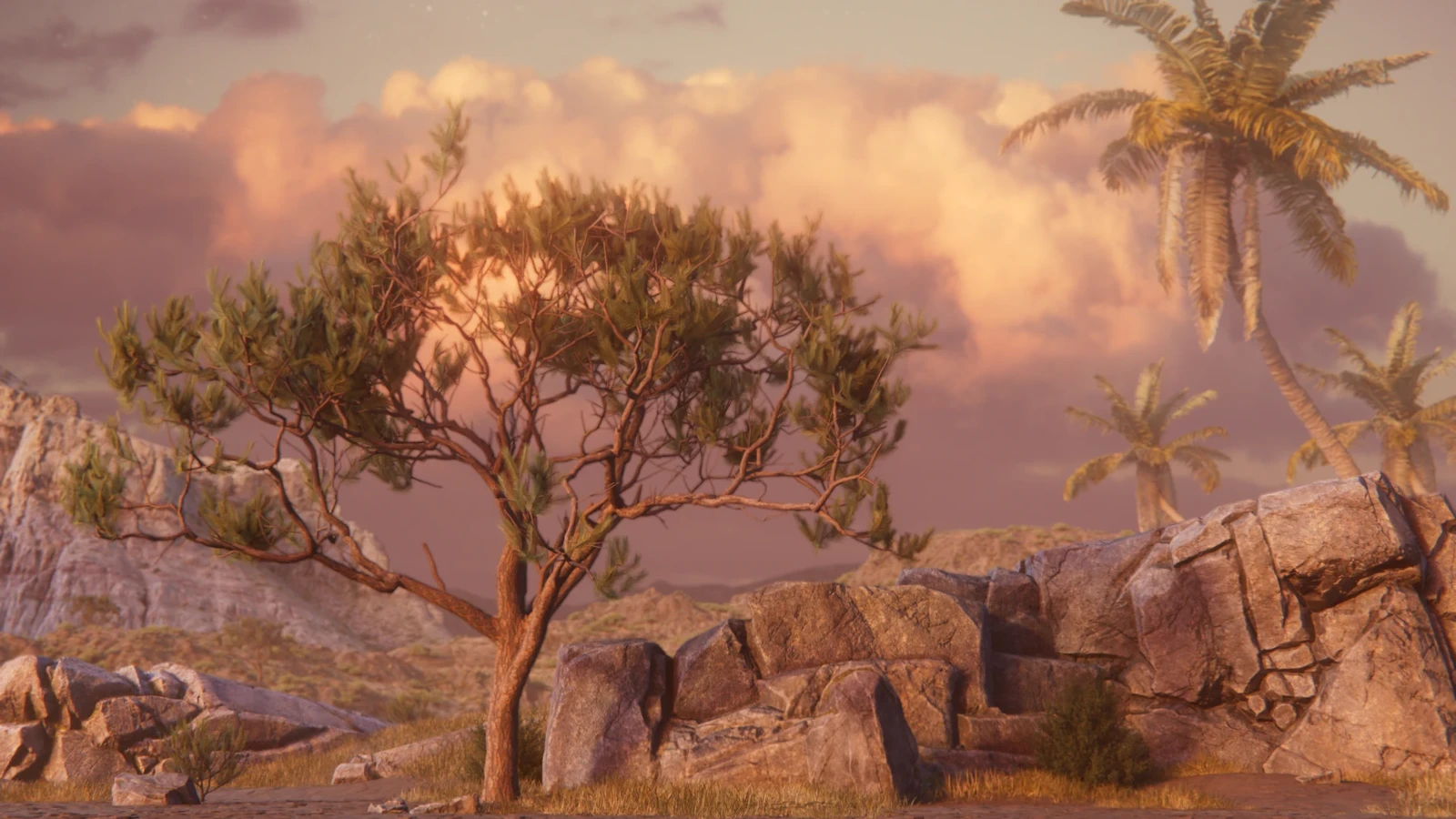 Wilderness - some of my favorite stills