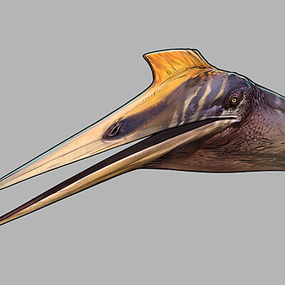 Quetzalcoatlus