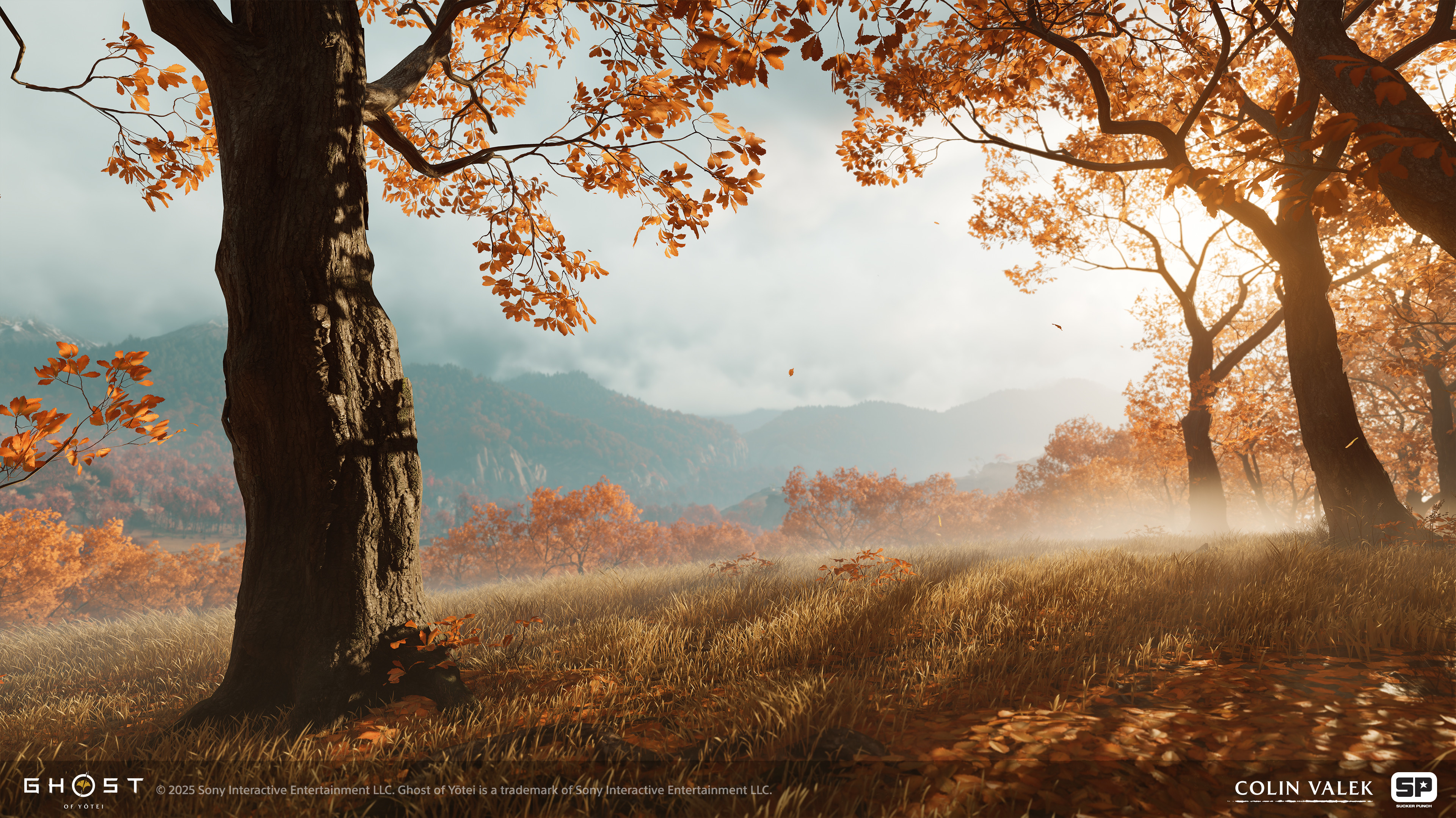 Growth expressions + tree assets made by me