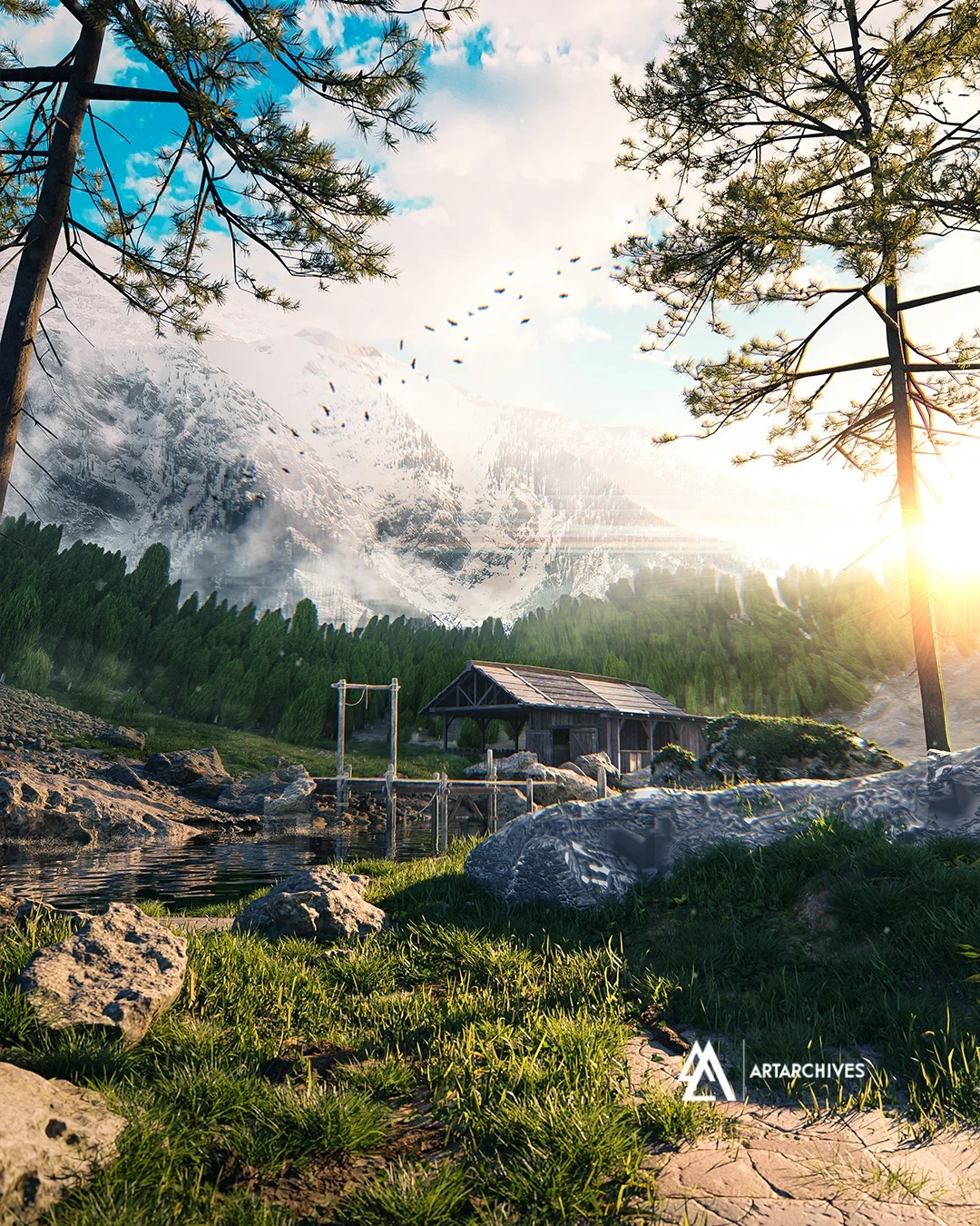 Between Forest and Sky