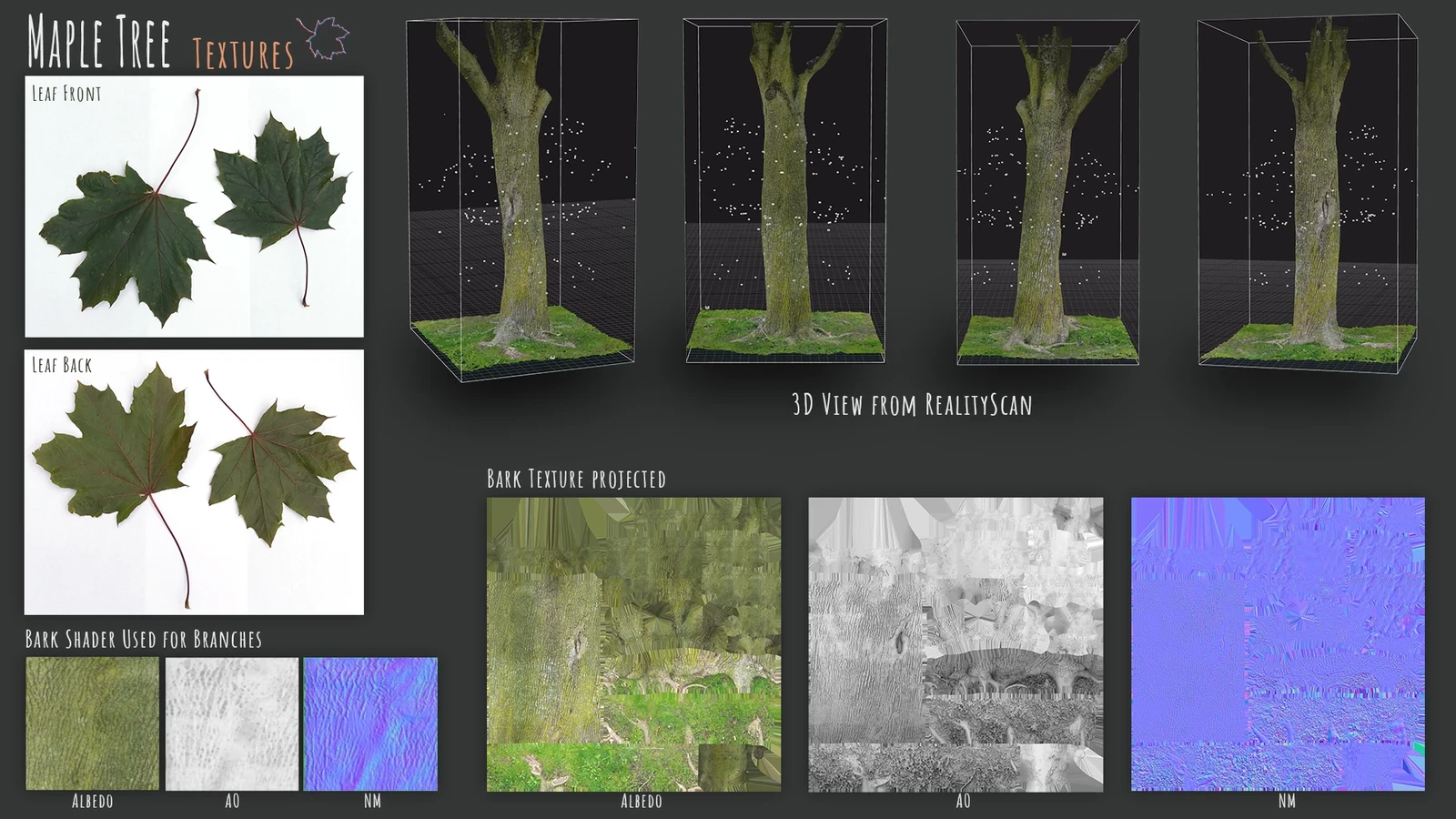 Generated textures from photographs. Here’s a quick look at using RealityScan to generate the tree trunk and extract textures from the images.