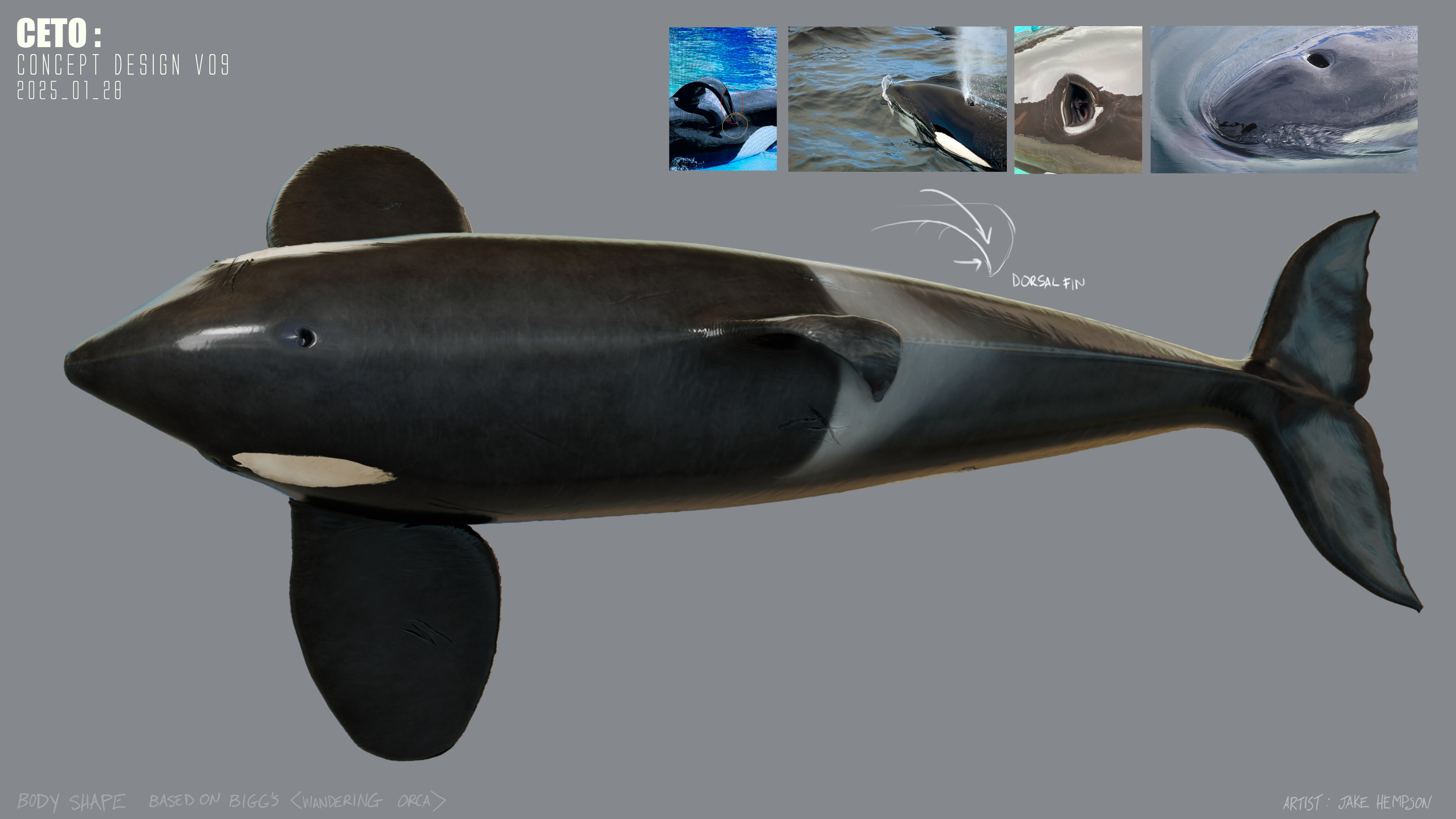 Top view concept update.