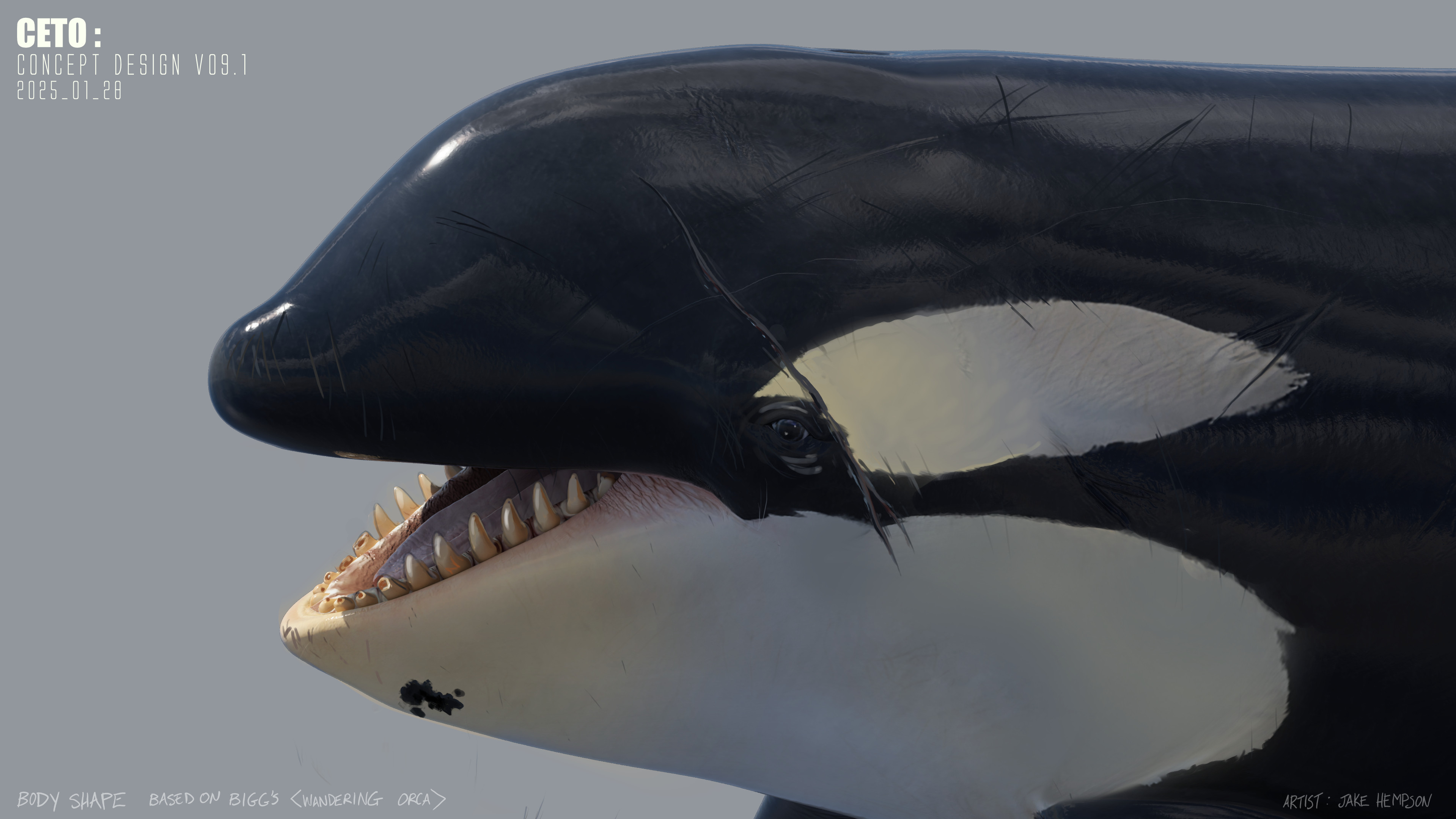 Scar over the eye notes for Ceto