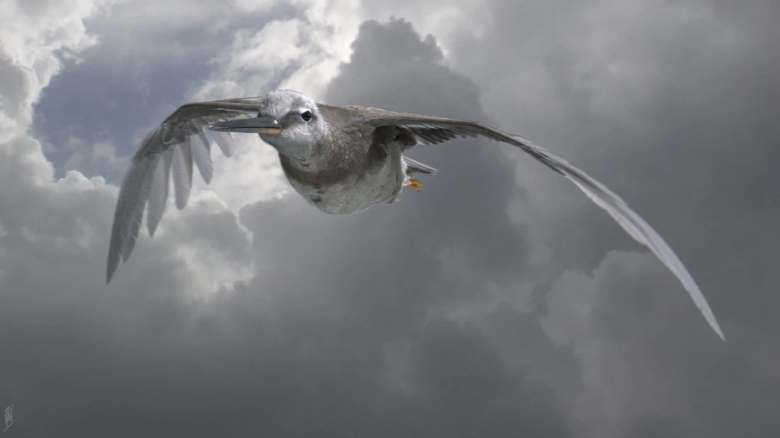 WIP render with groom in Houdini.