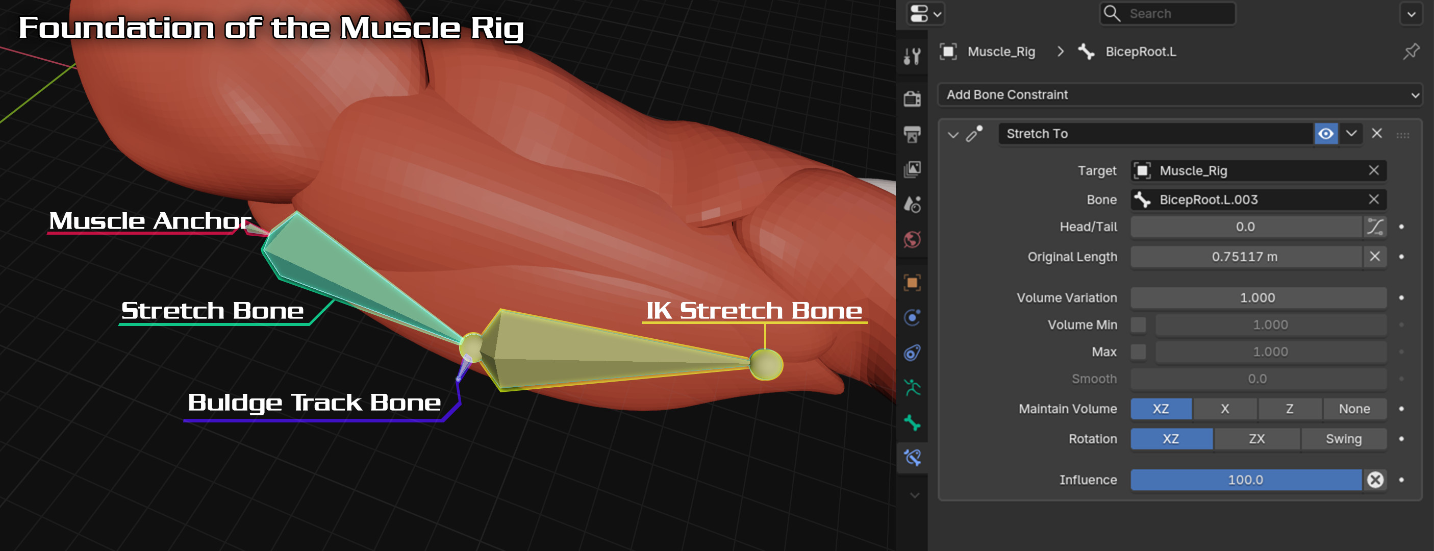 To rig the muscles I when with this simple rig setup for each one. Combined together with the other muscles is what makes the rig appear complex but it is funidmentally this setup for each muscle.