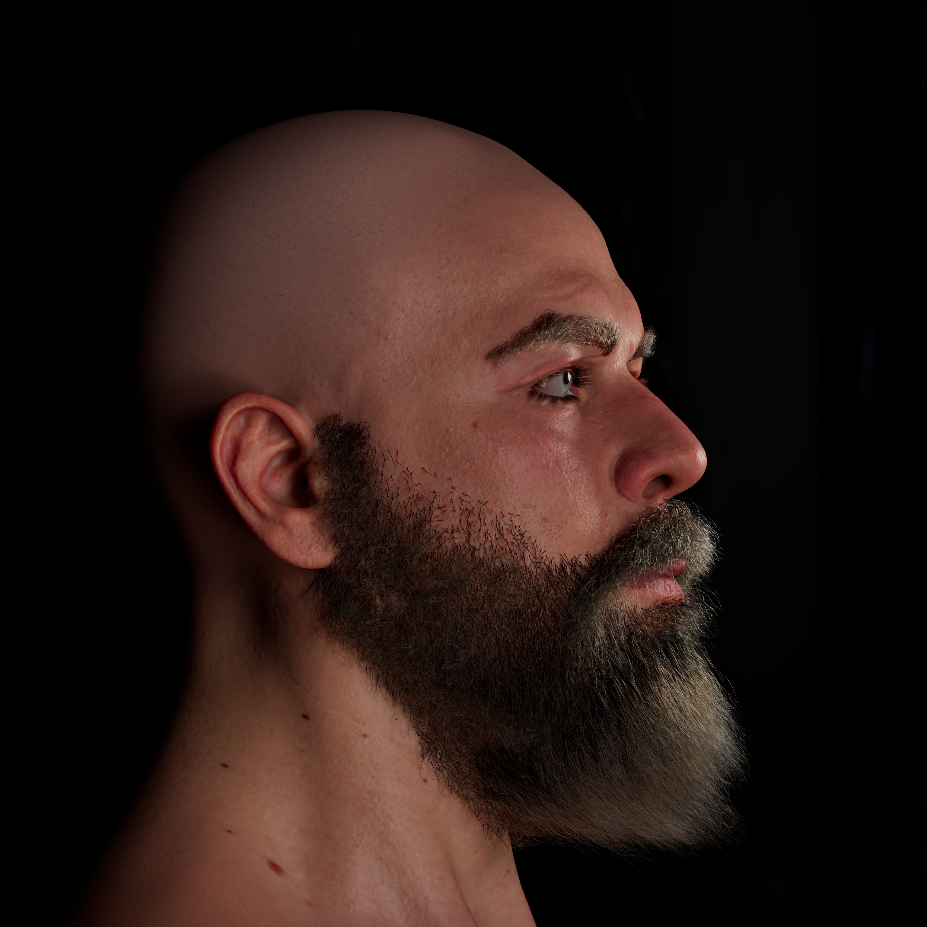 the beard  process of  break down