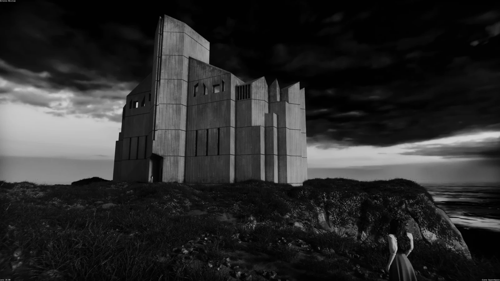 Squarespace Commercial