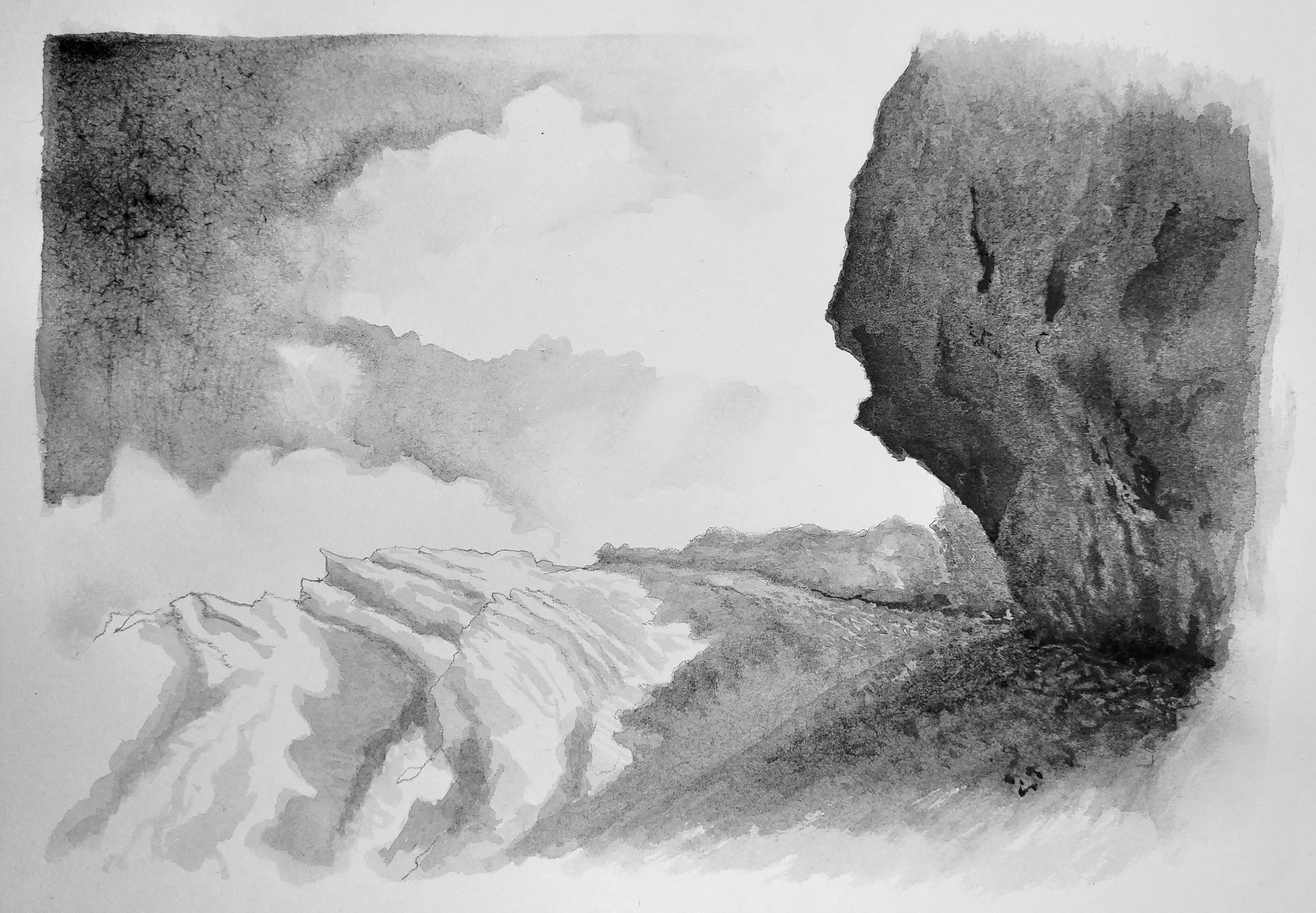 Aquawash water brush + black acrylic ink