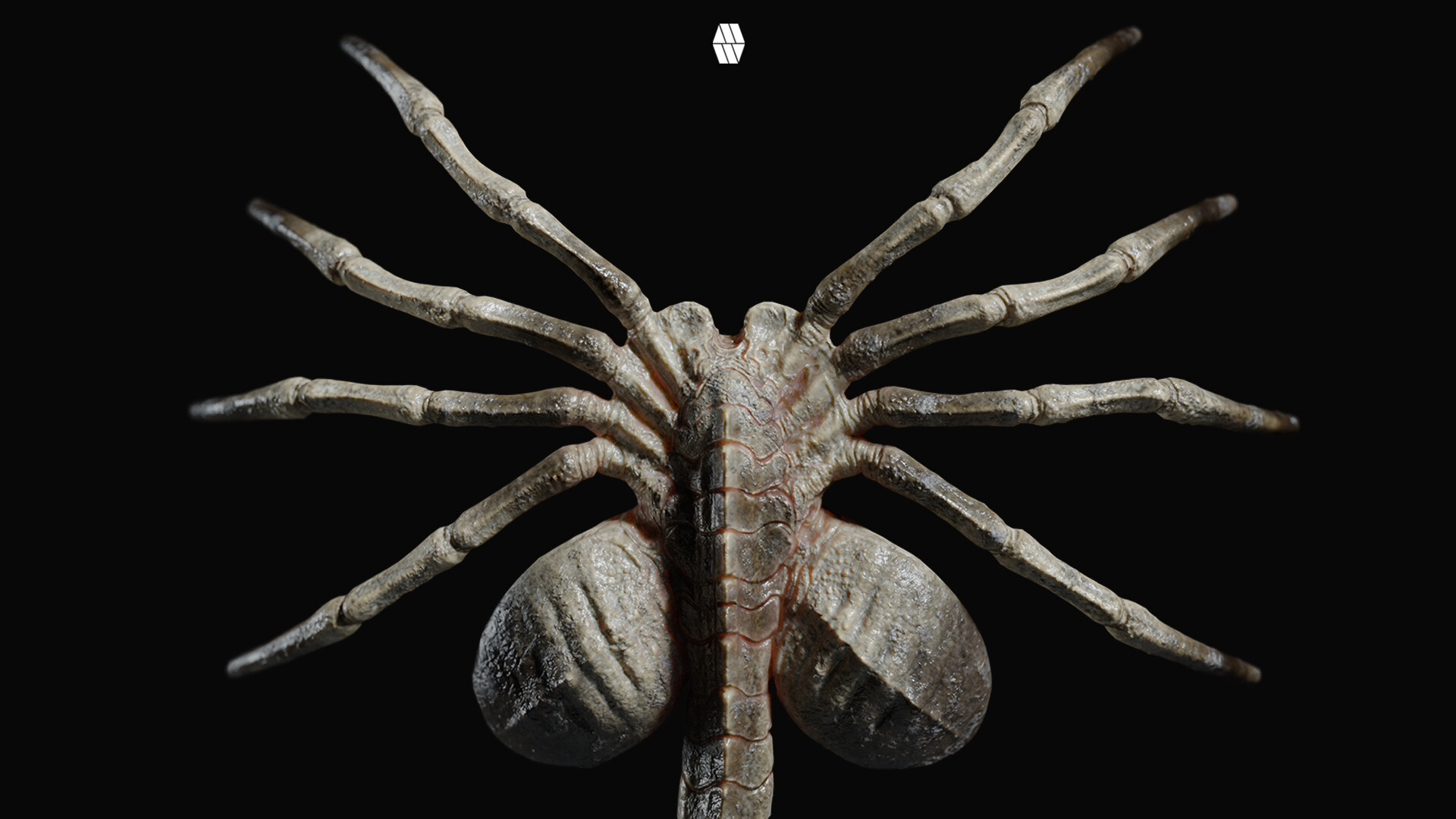 An Alien Emerges - 'Facehugger' Concept by Marcus Whinney by Marcus Whinney