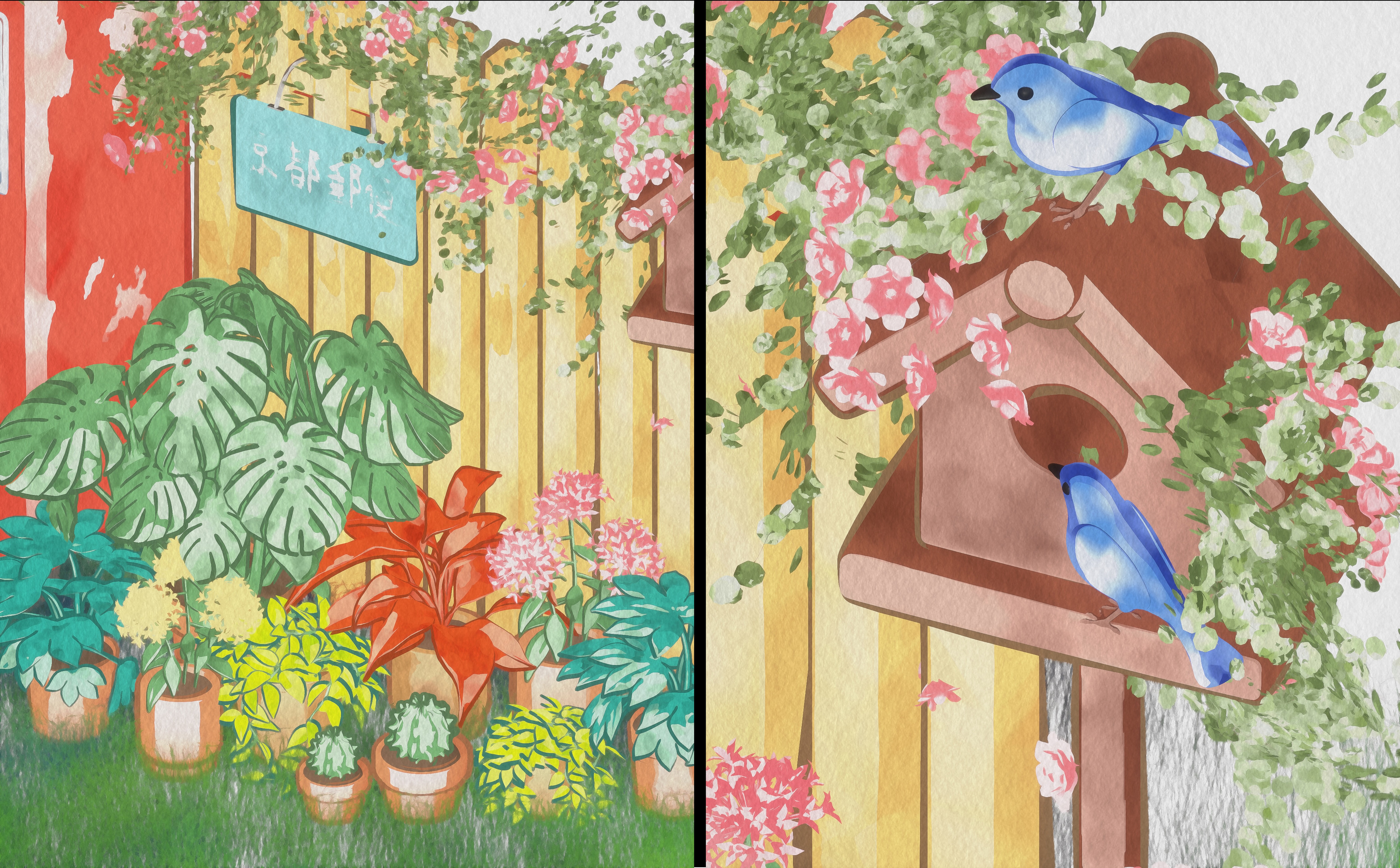 Some close-ups