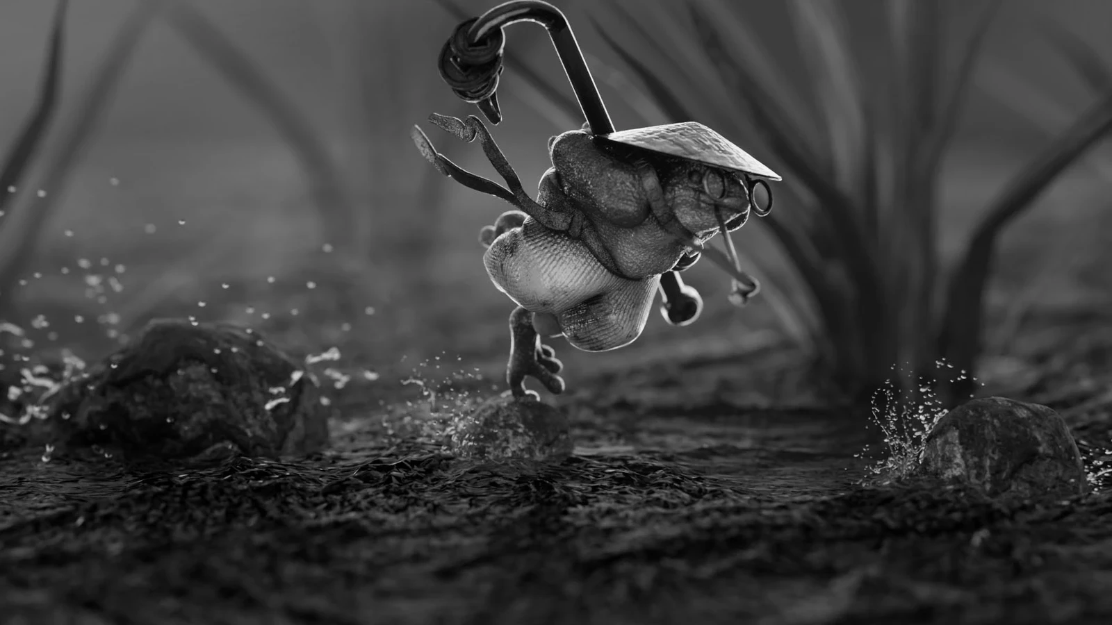 reviewing the value and contrast