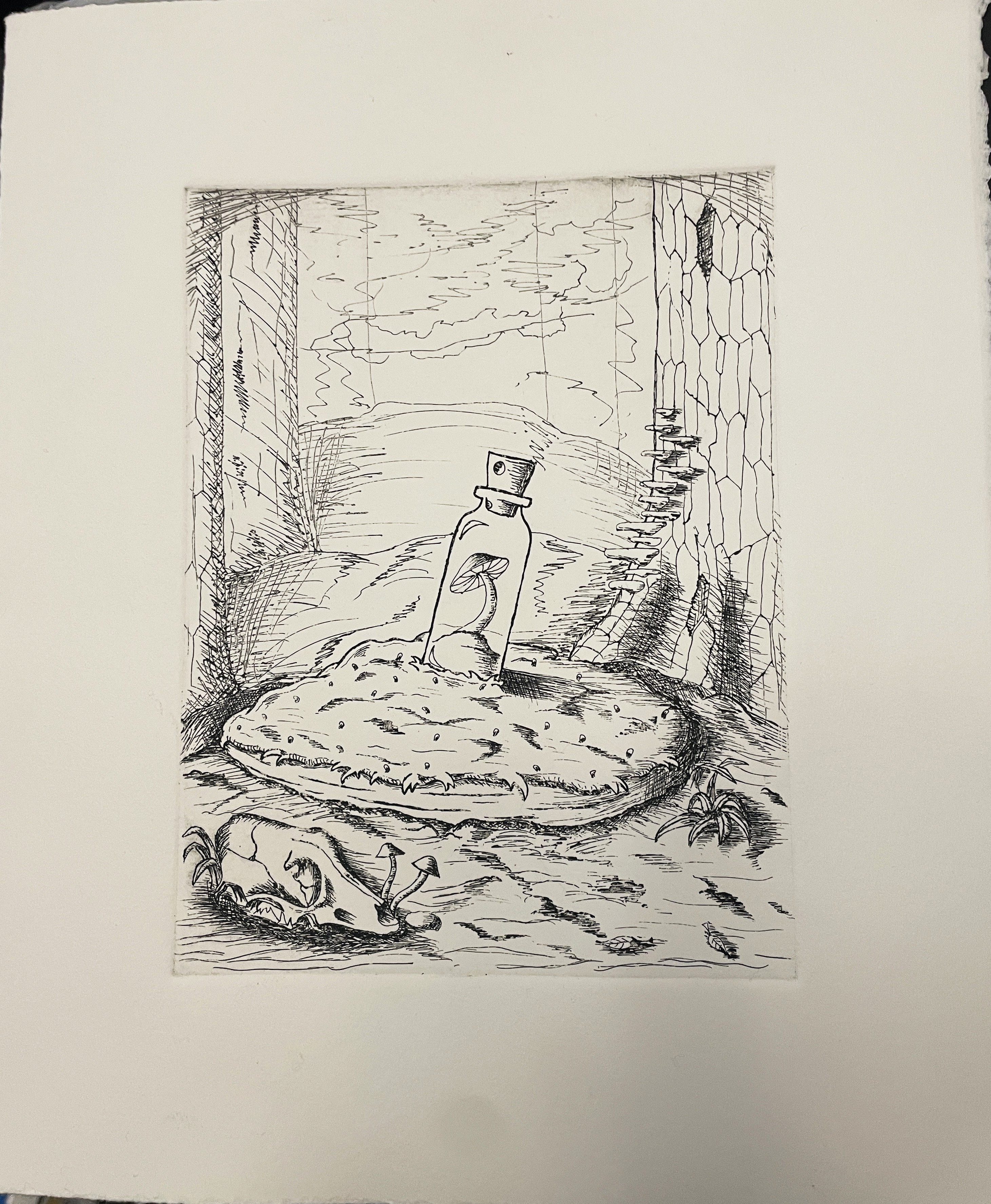 "Microcosm" Hard ground intaglio, 2025.