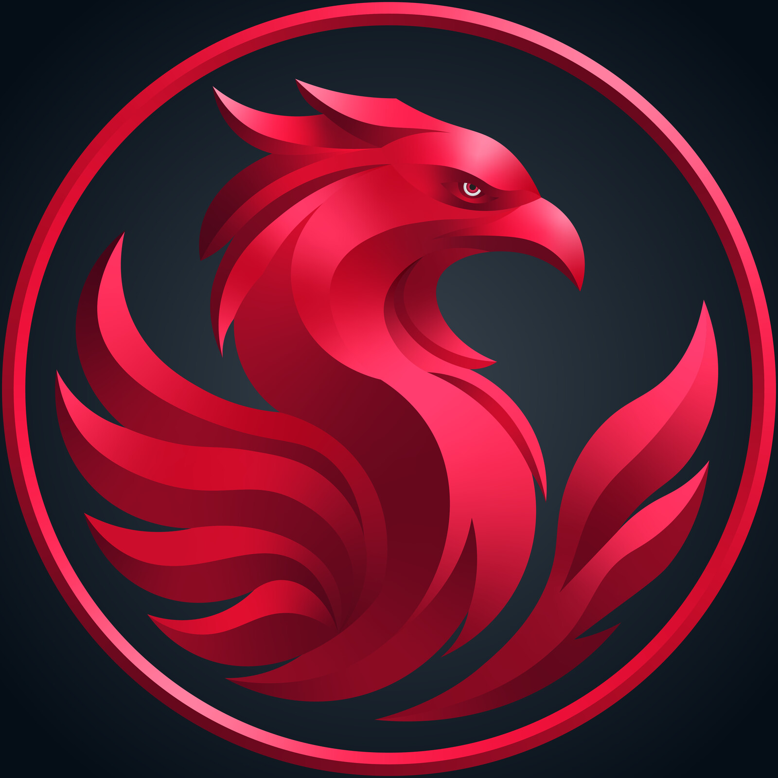 Phoenix Profile Design