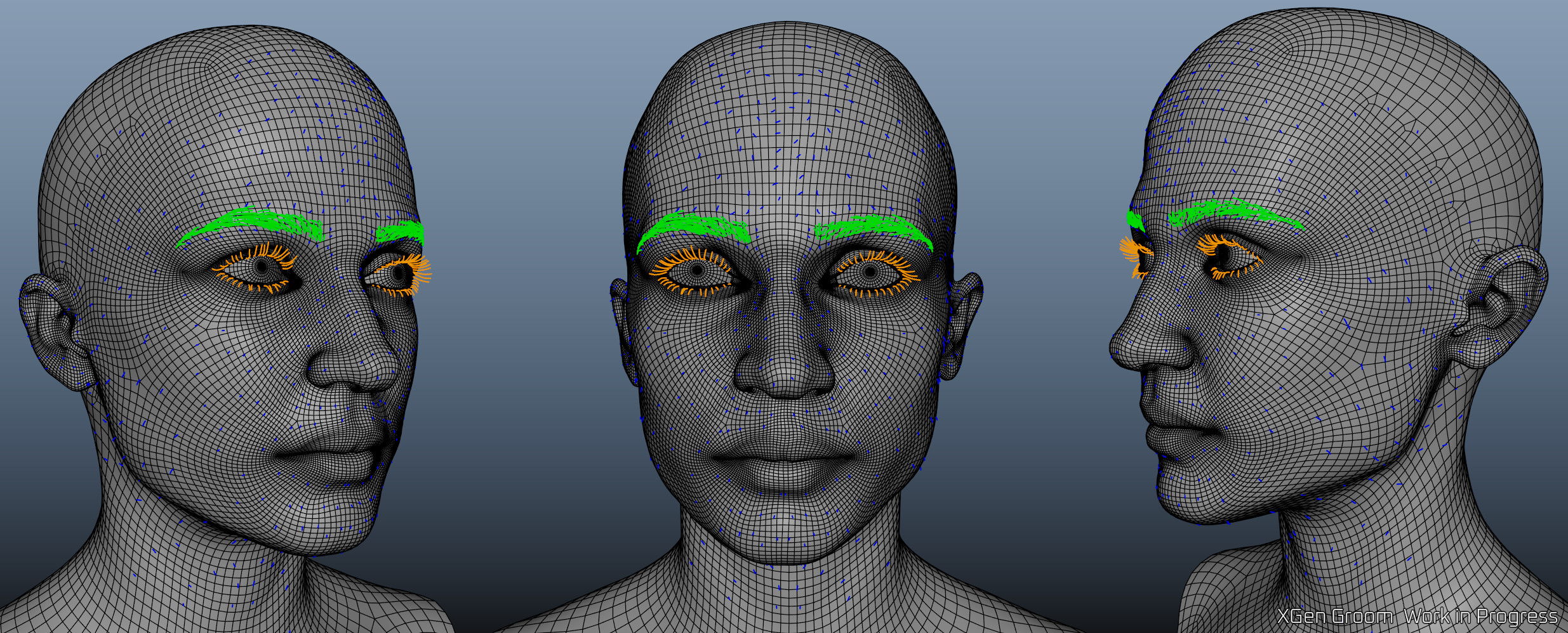XGen Groom WIP