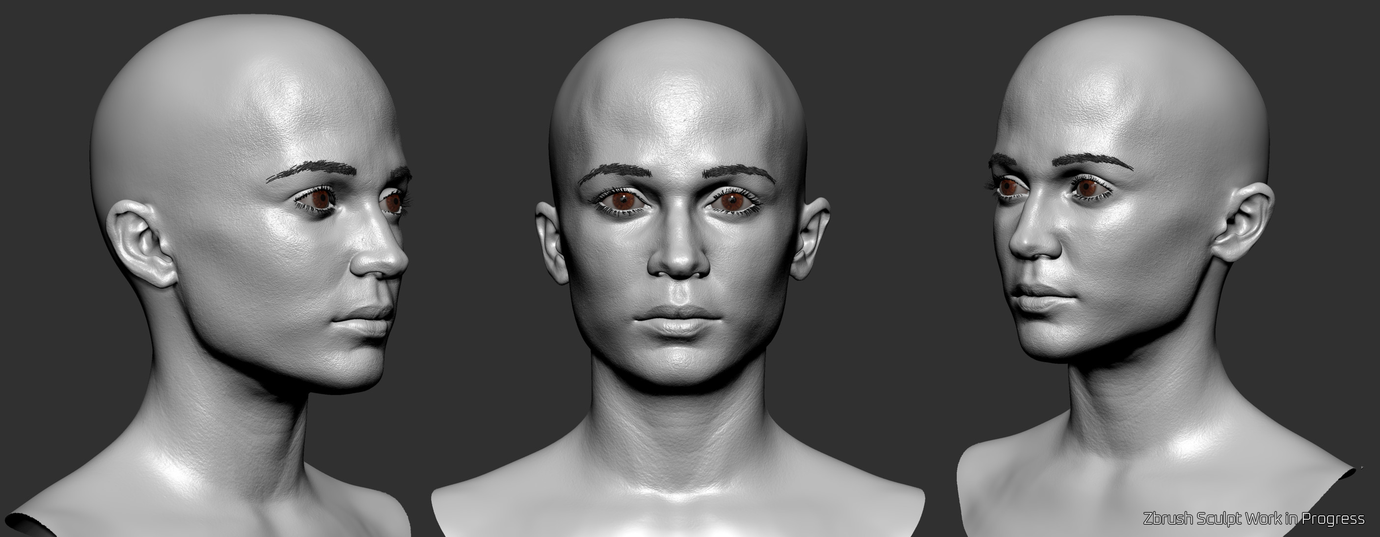 Zbrush WIP Sculpt