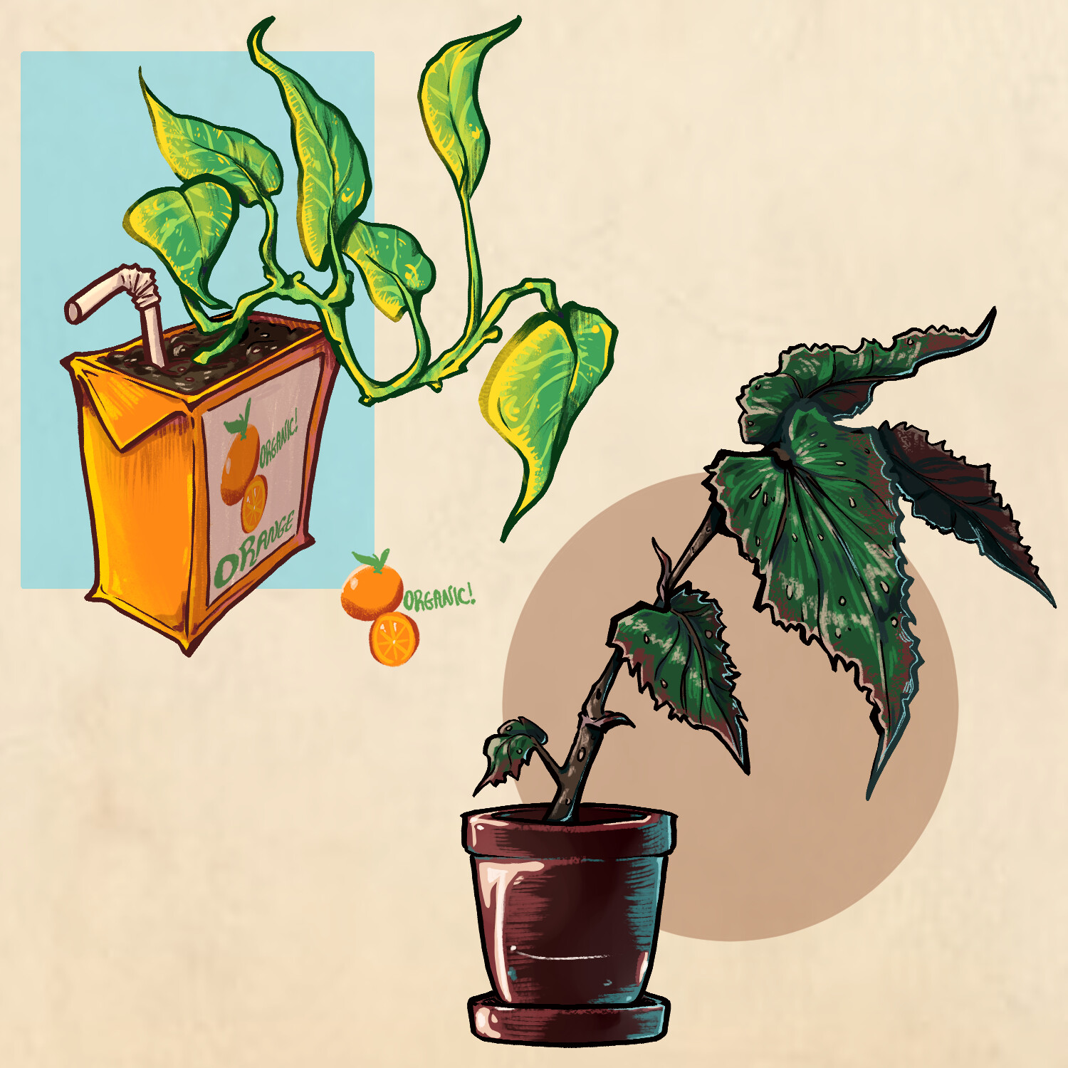 Plant Studies