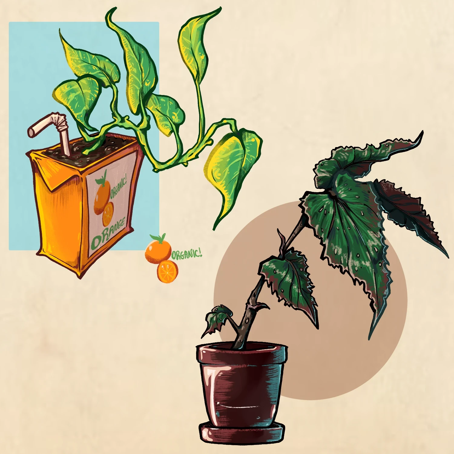 Plant Studies