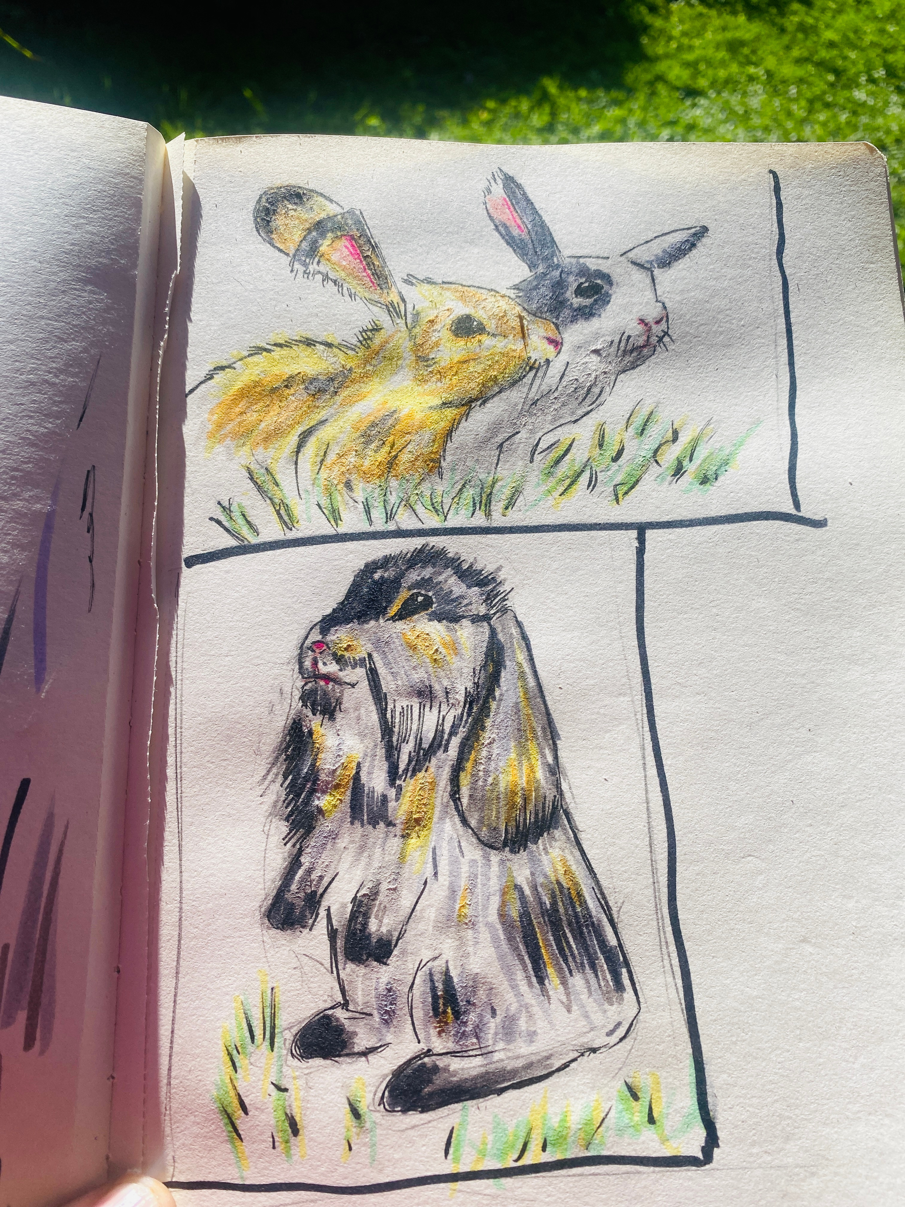 Bunnies live drawing