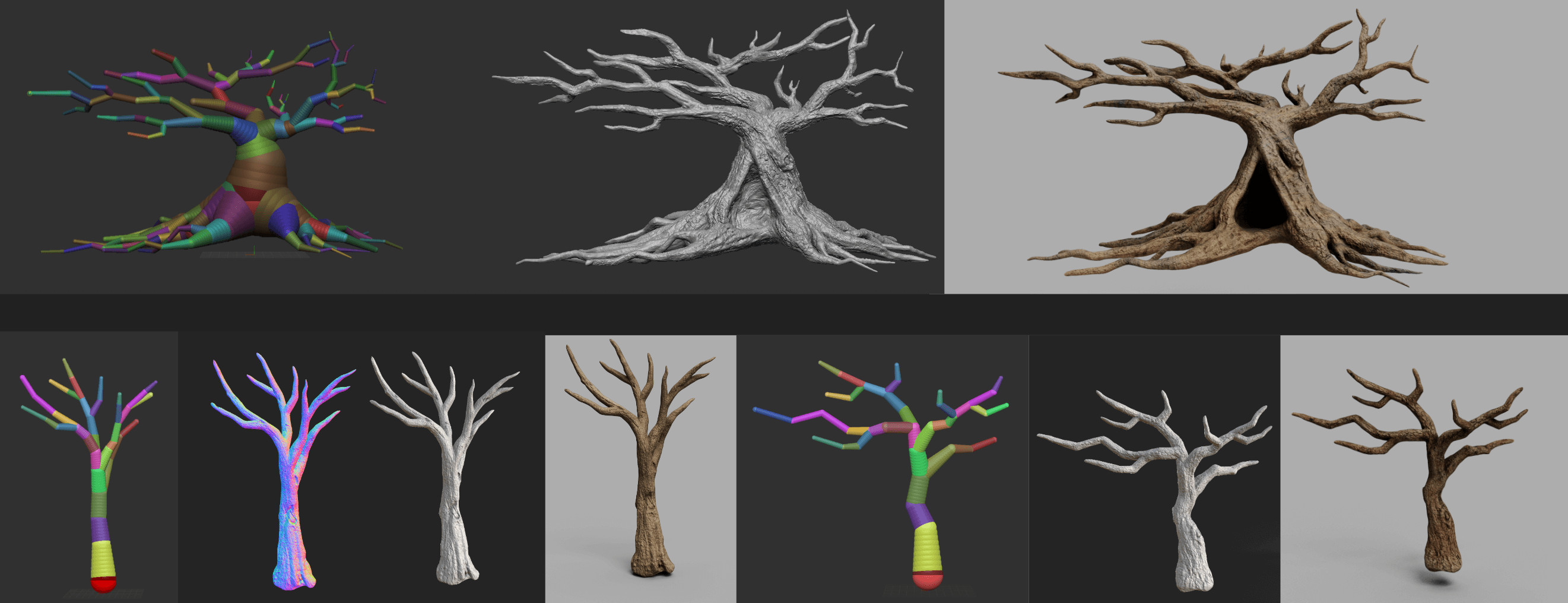 Trees Modeling Process