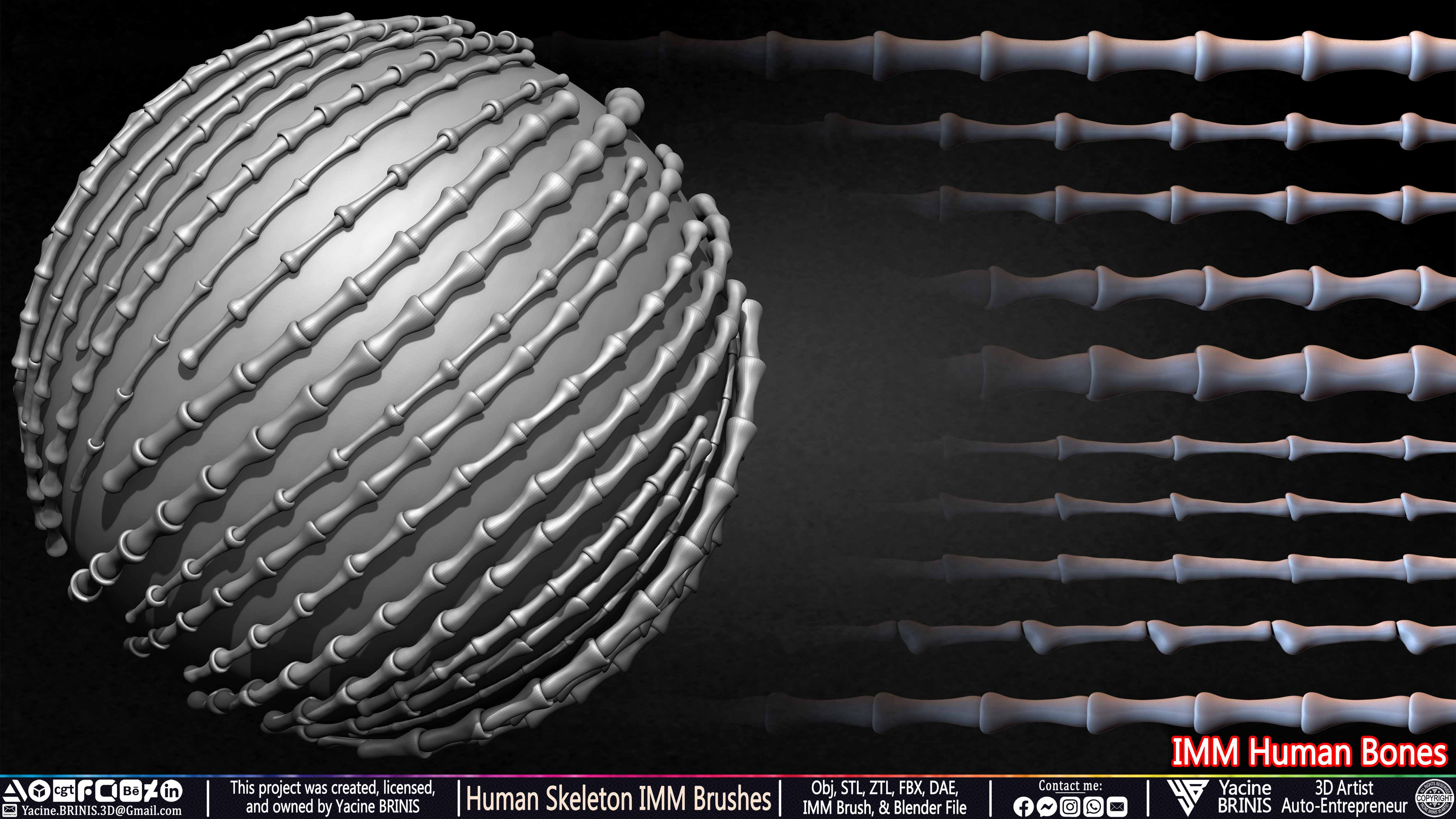 Human Skeleton IMM Brushes Set 08