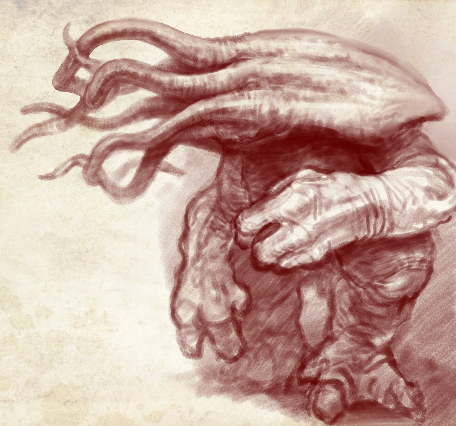 SquidHead