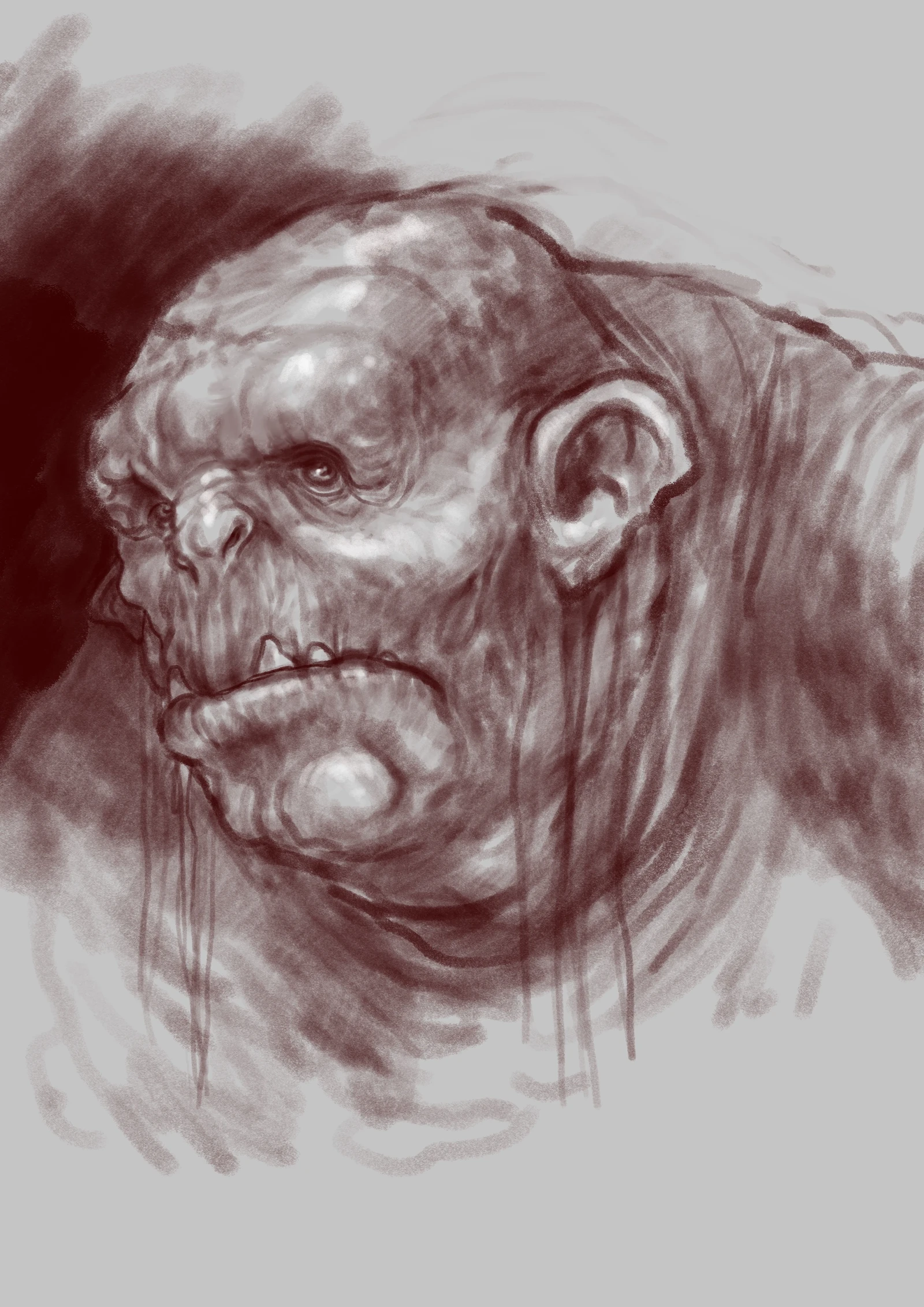 self portrait