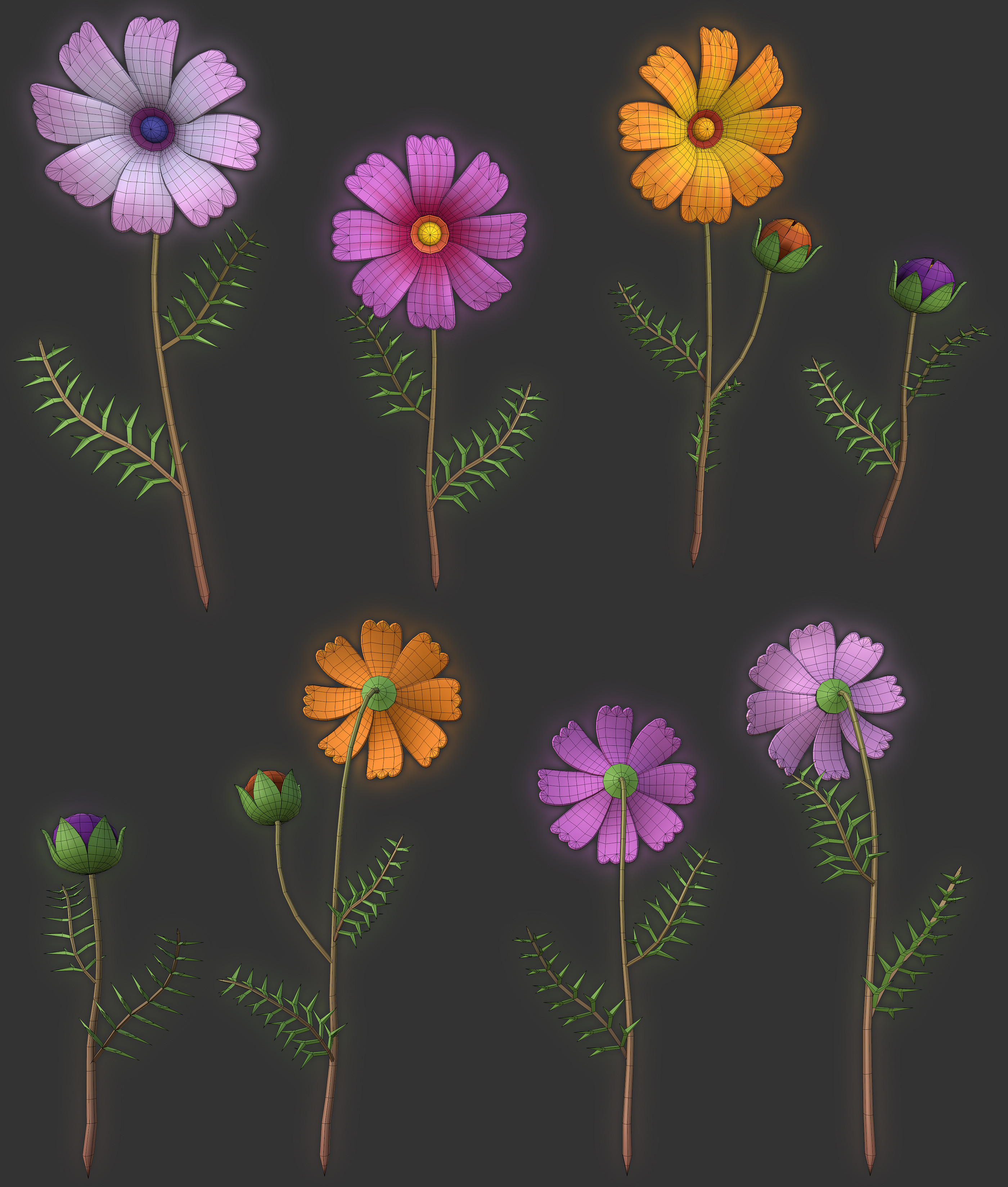 Cosmos wireframe
