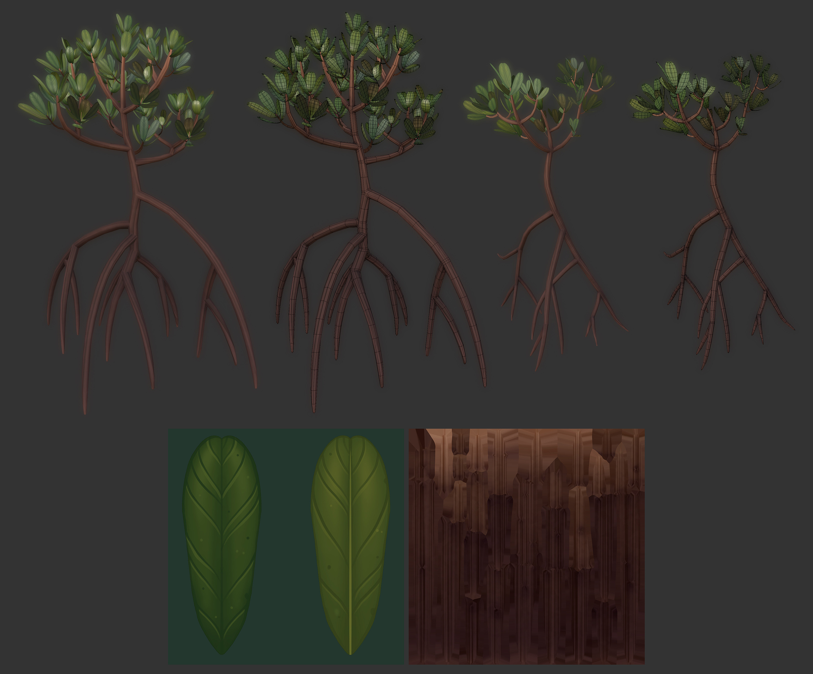 Mangrove models